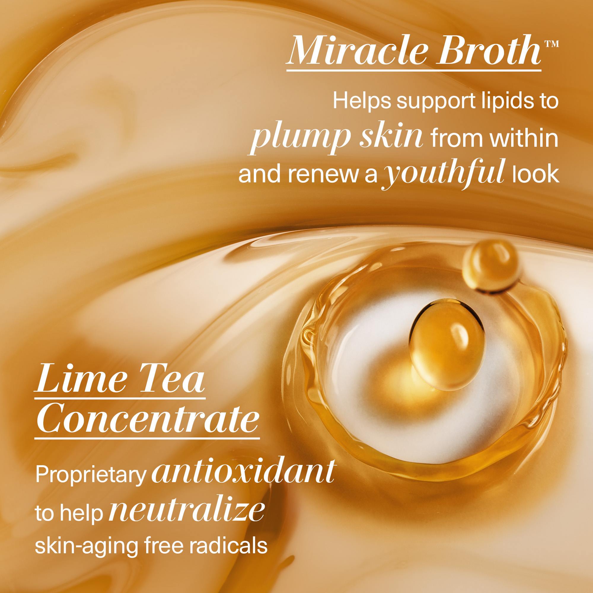 The Moisturizer Fresh Cream • 60ml