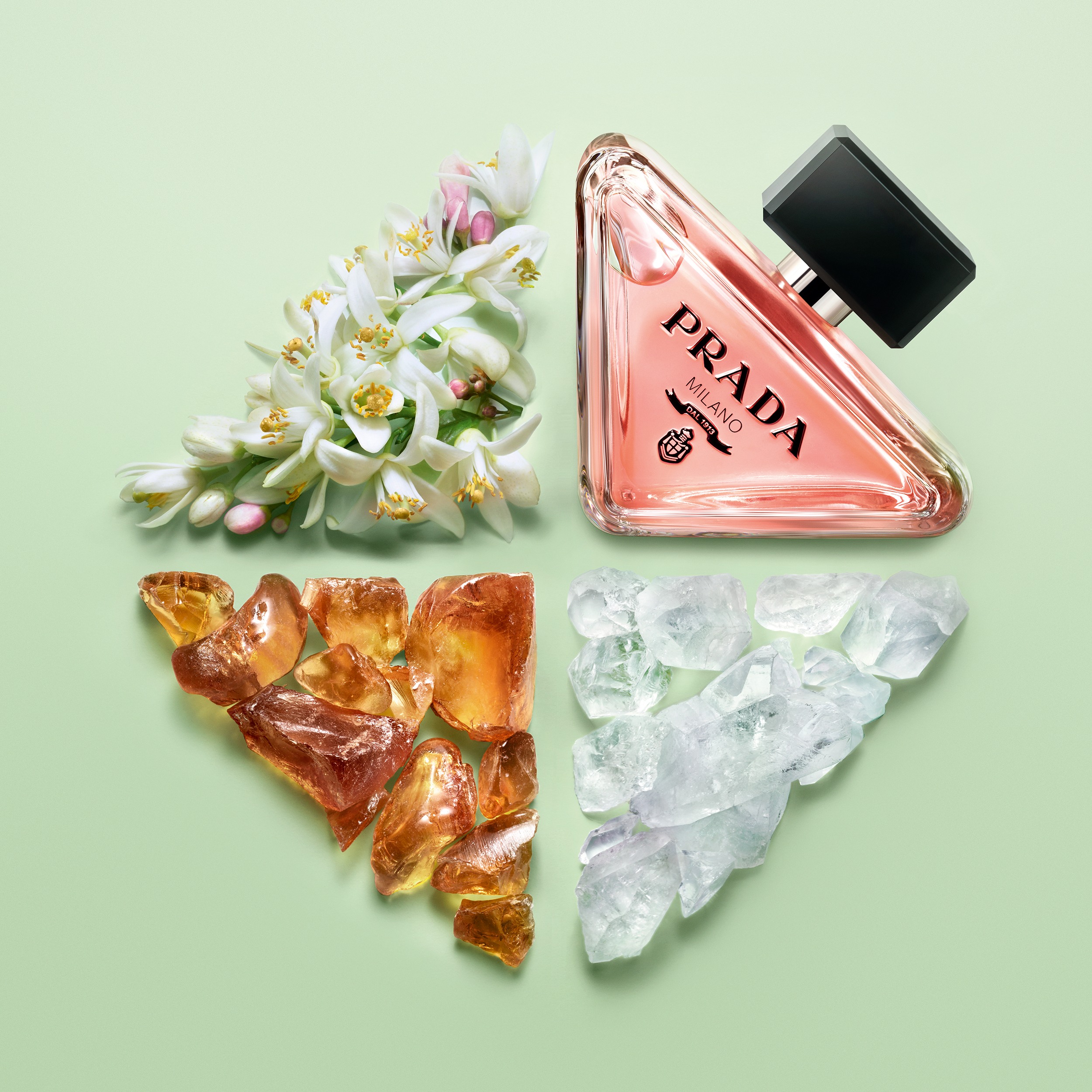 Paradoxe EDP Set • 100ml