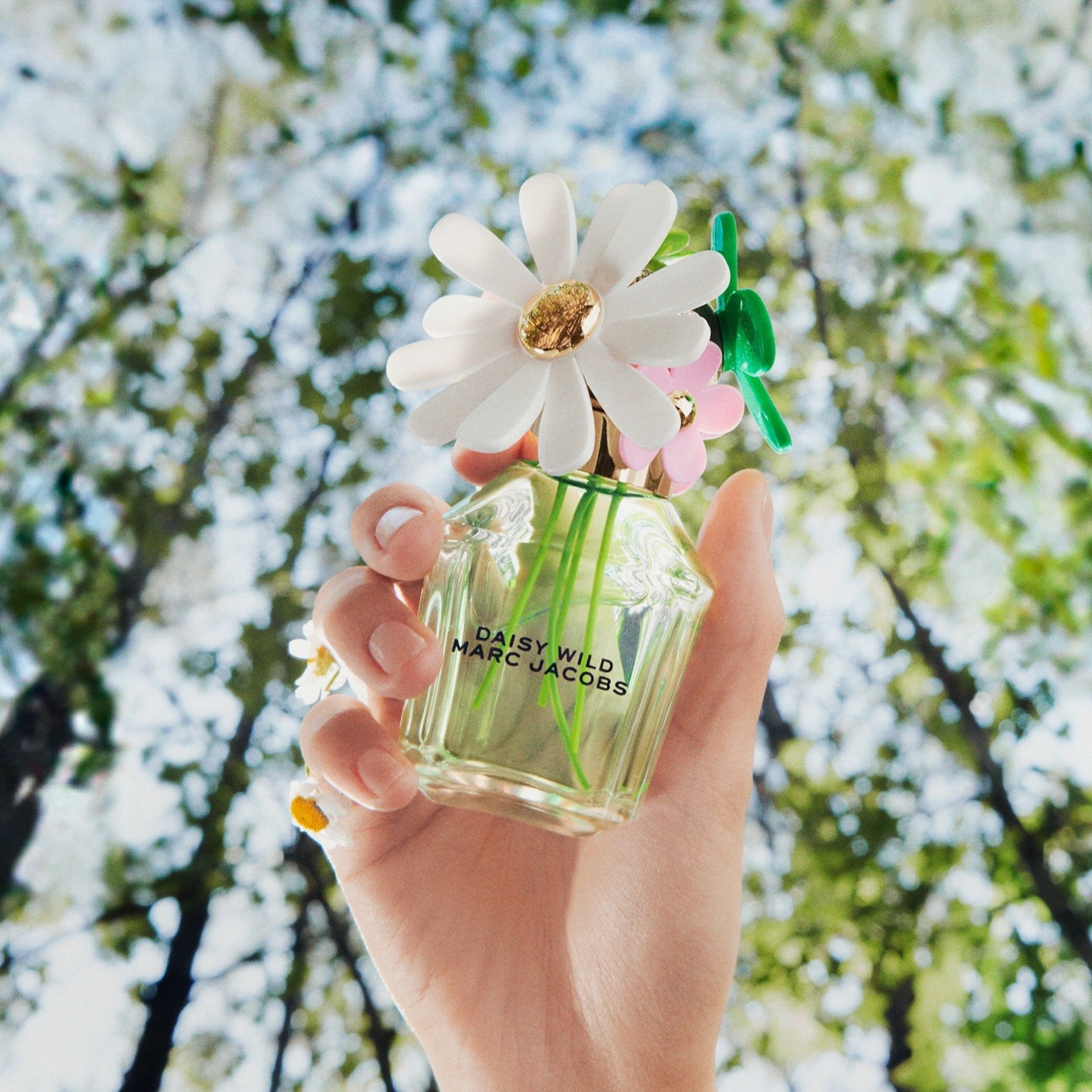 Daisy Wild Eau De Parfum for Women • 100ml