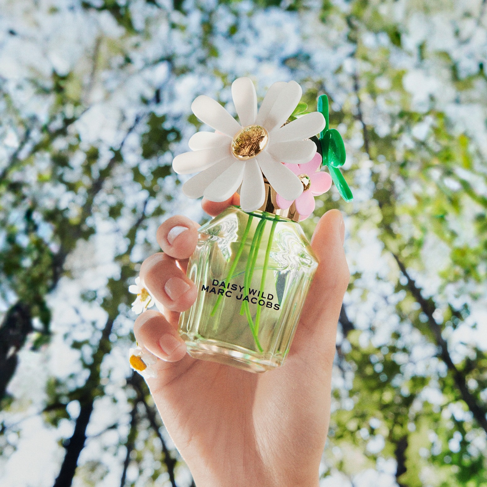 Daisy Wild Eau De Parfum for Women • 50ml
