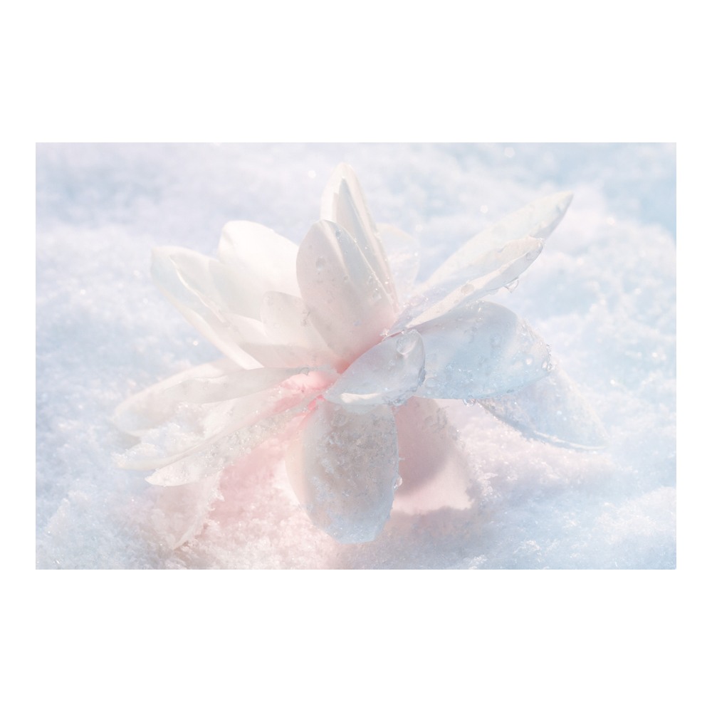 Dior Snow Essence Of Light Serum • 50g