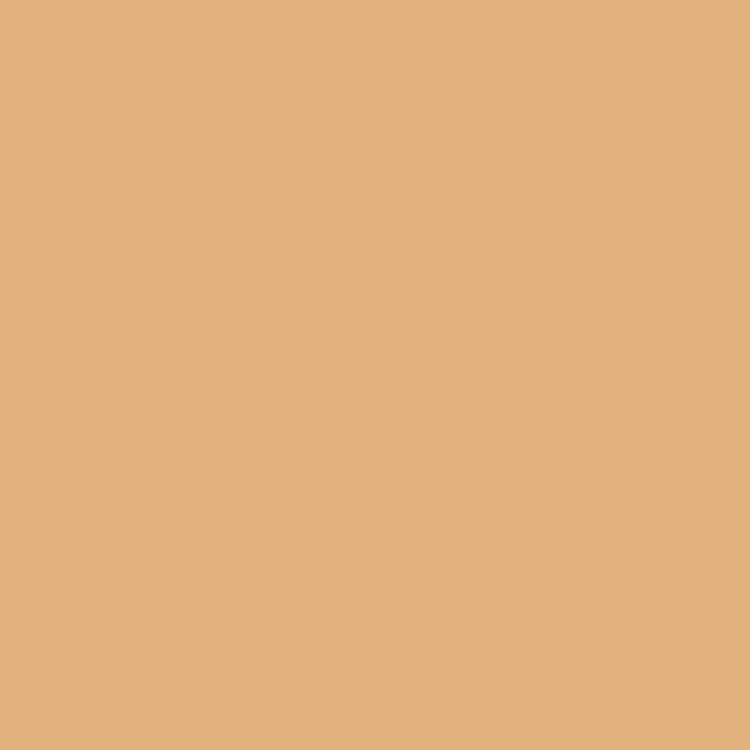 True To Myself Tinted Pressed Finishing Powder • 8g