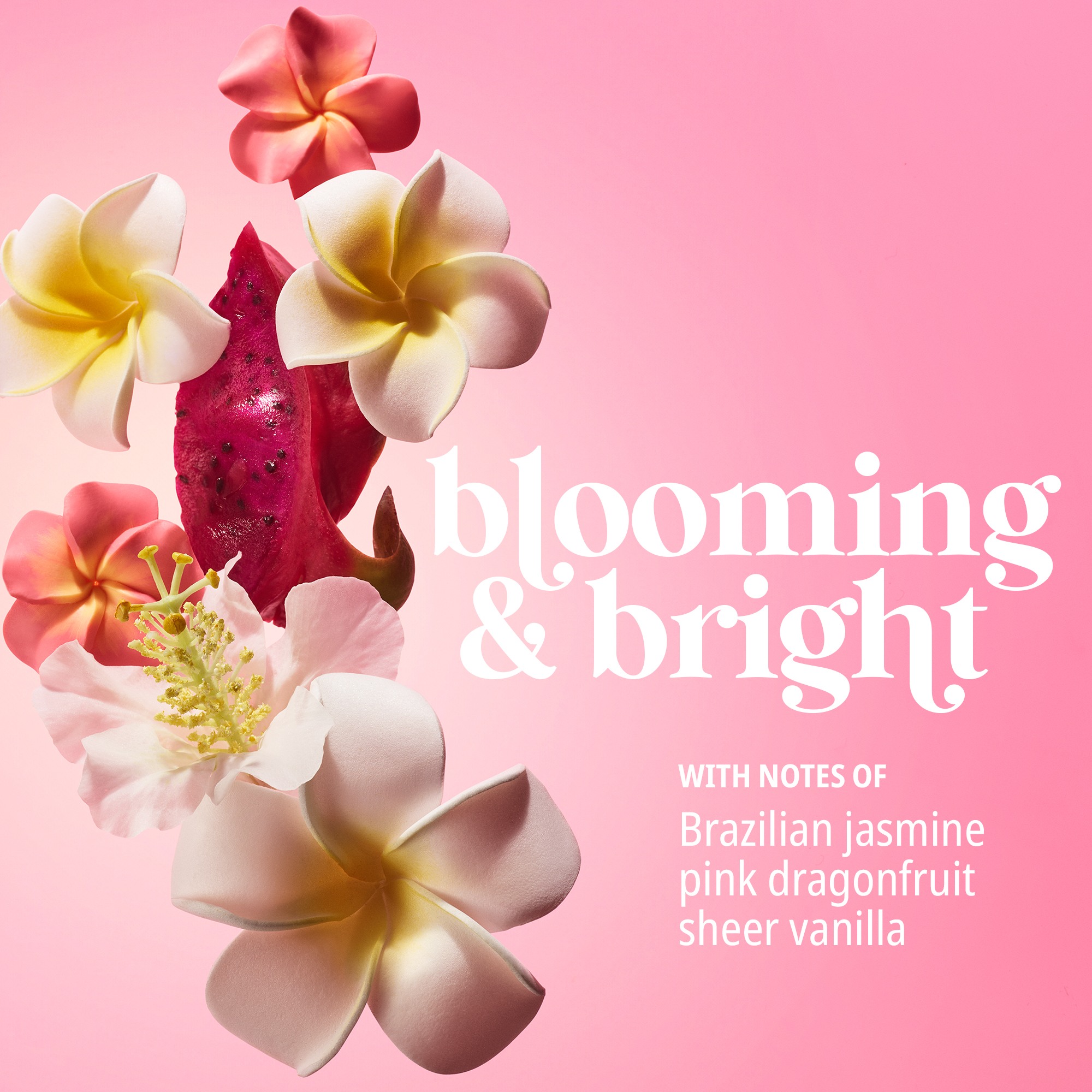 Beija Flor Elasti Cream • 75ml