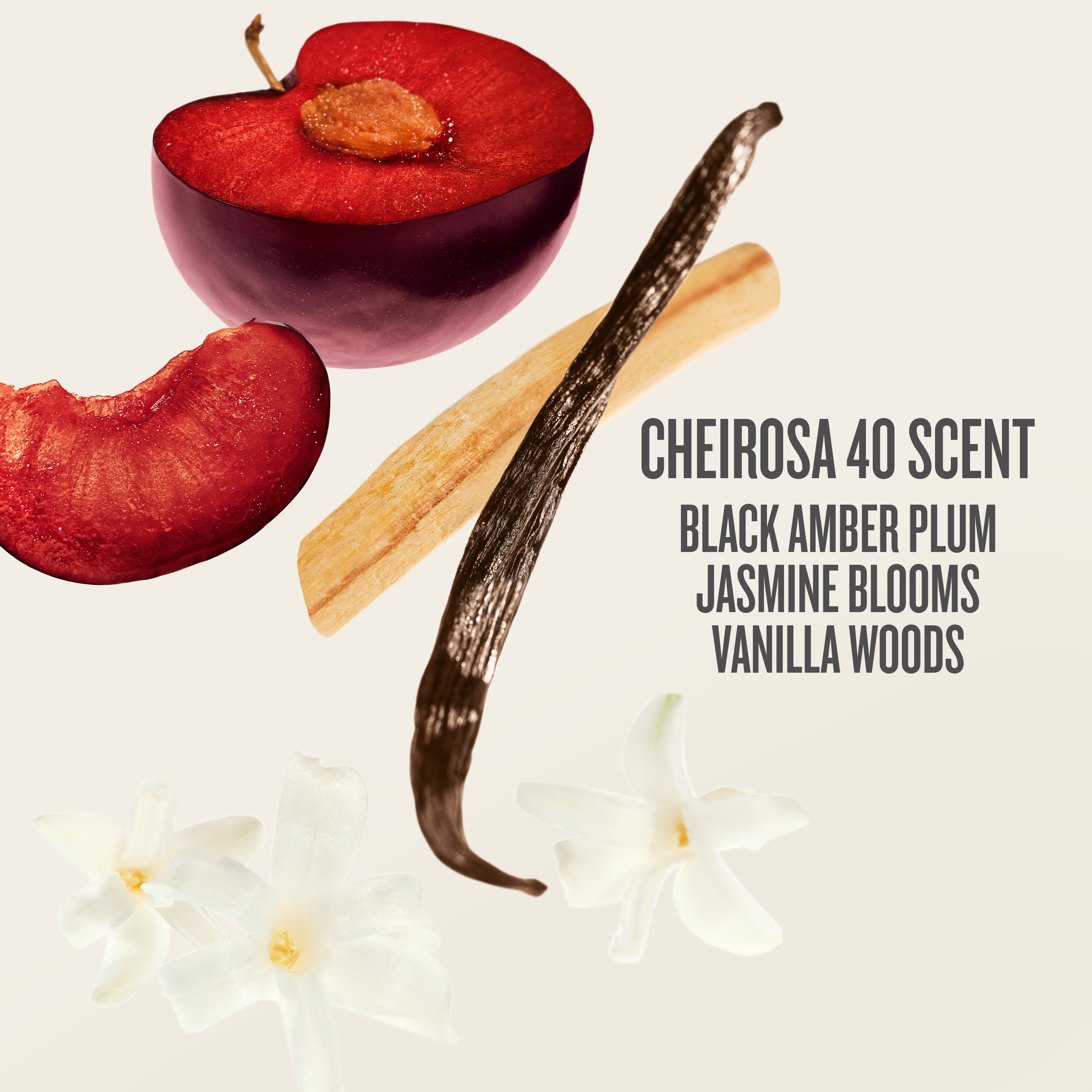 Bom Dia Jet Set • 170ml