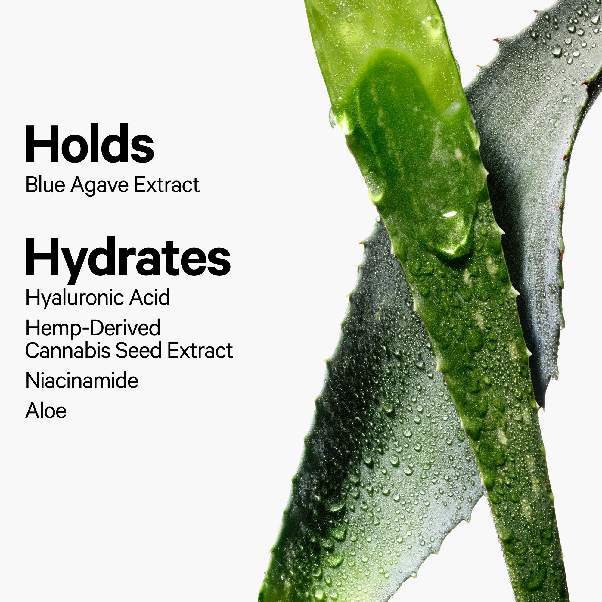 Hydro Grip Set + Refresh Spray • 50g