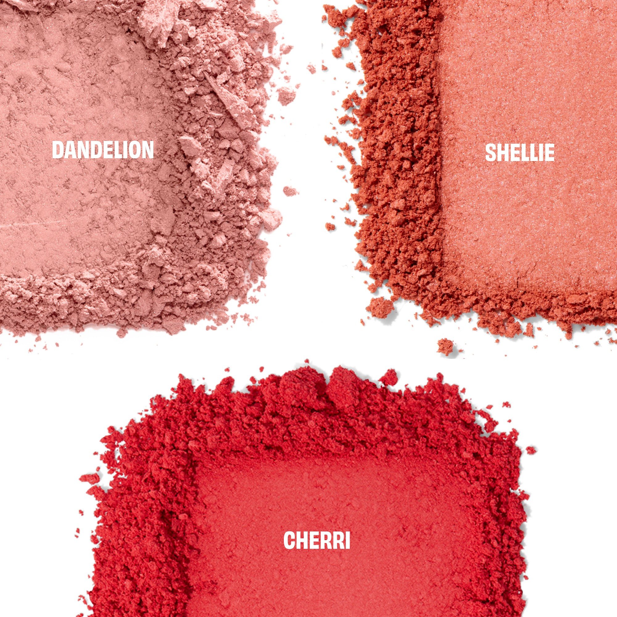 Chocolotta Blush Mini Blush Palette