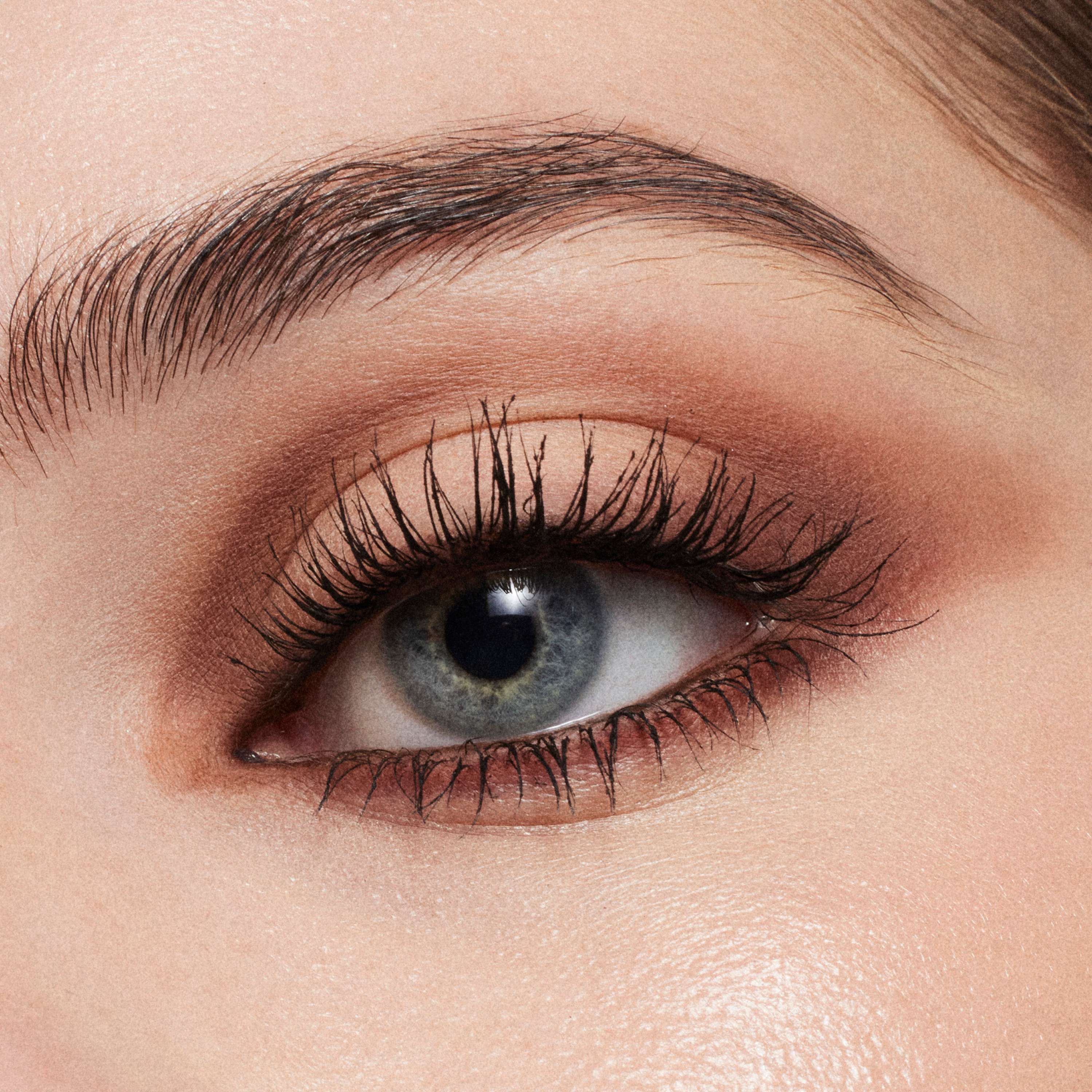 Connect In Colour X6 Eye Shadow Palette • Intimate Nudes