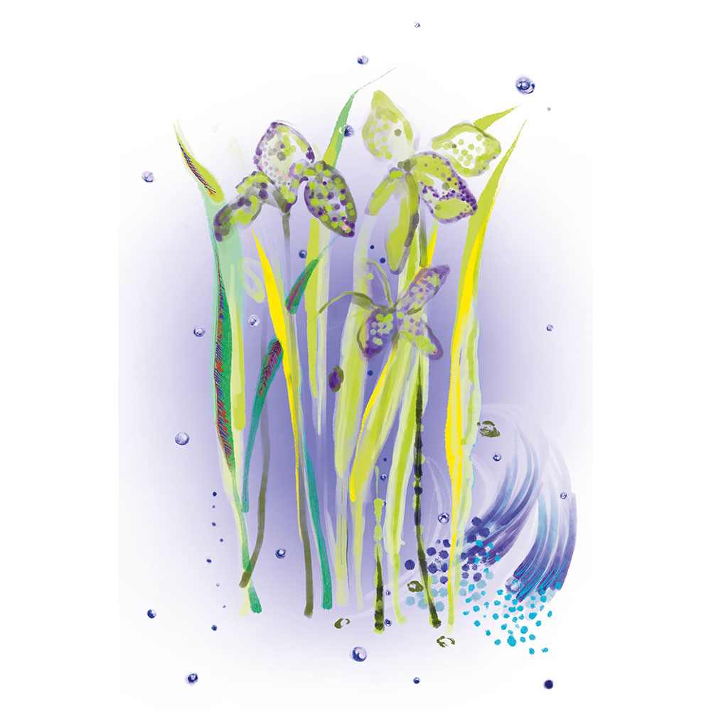 L'Eau Revee D'Alma • 100ml