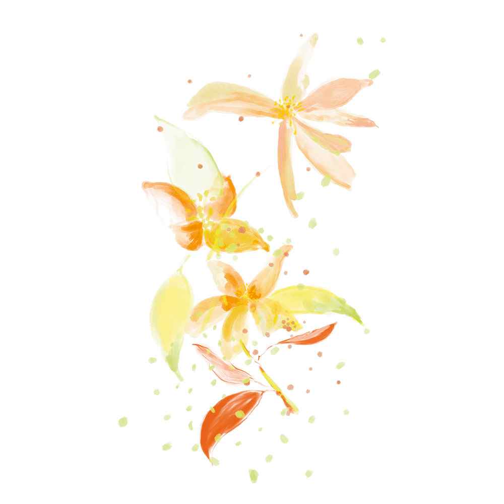 L'Eau Revee D'Isa • 100ml
