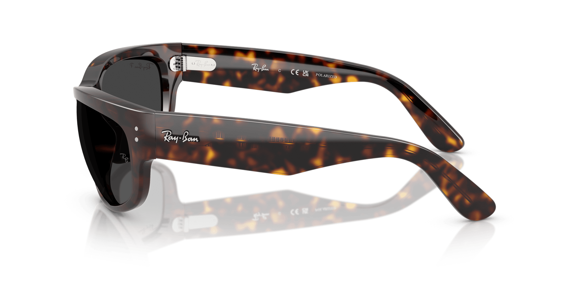 0RB2289 Propionate Unisex Sunglasses