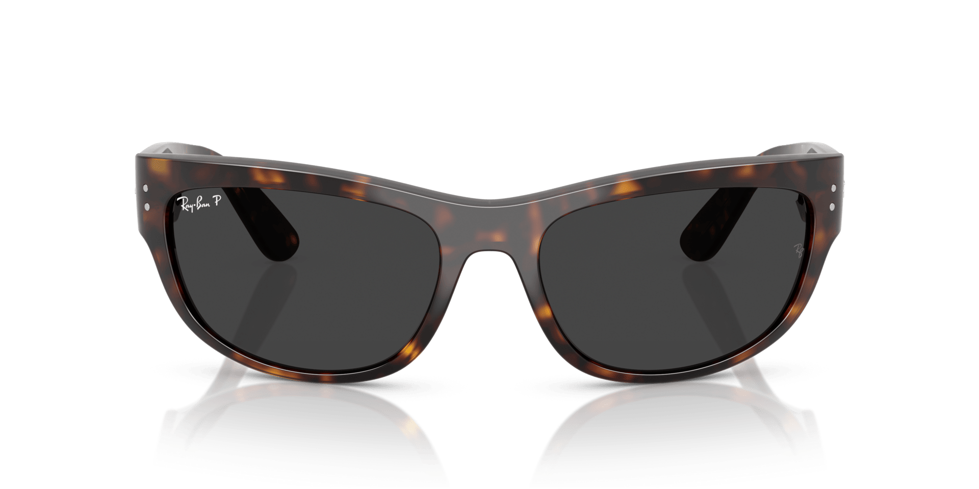 0RB2289 Propionate Unisex Sunglasses