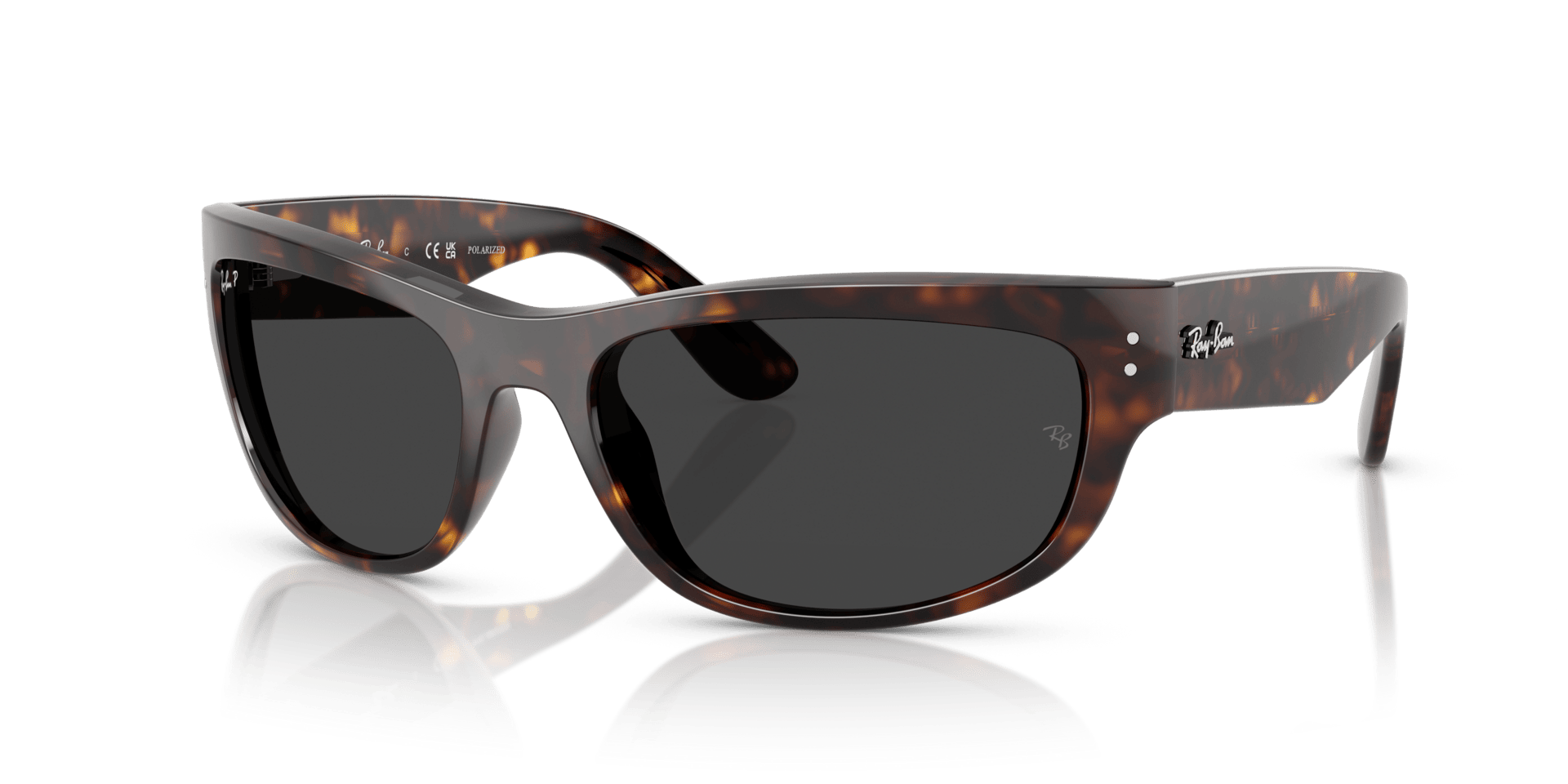 0RB2289 Propionate Unisex Sunglasses