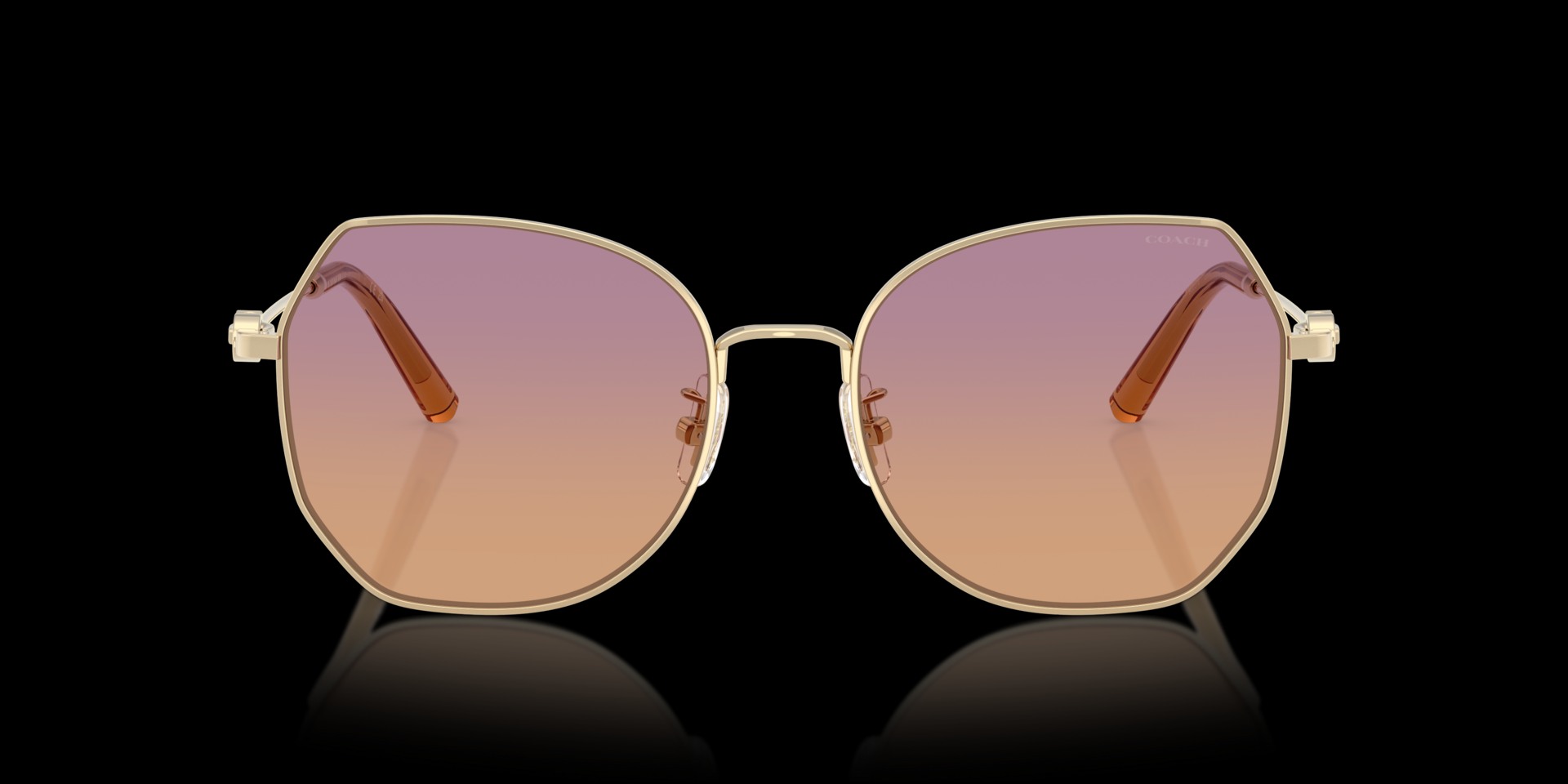 Coach Gold Metal Women Sunglass
