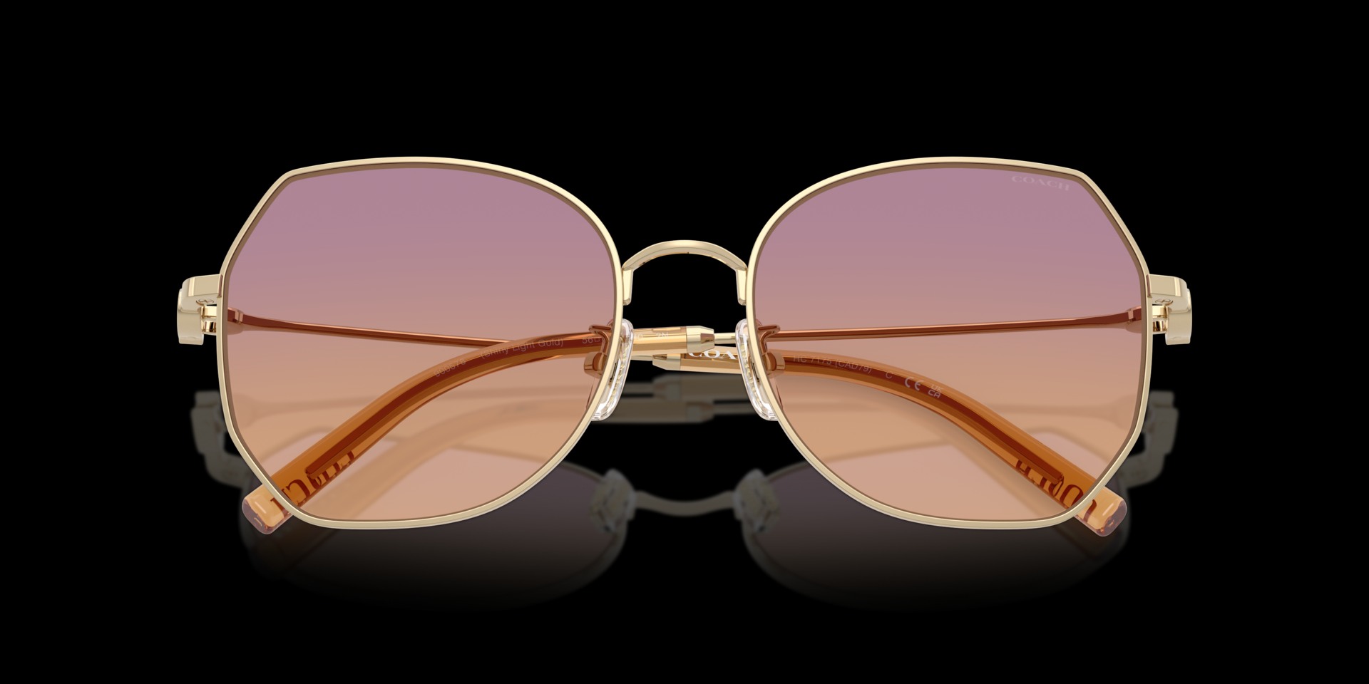 Coach Gold Metal Women Sunglass