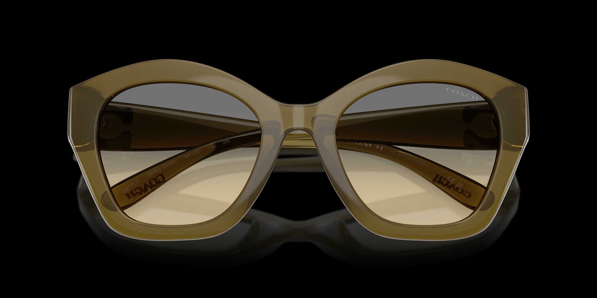 Coach Green Injected Women Sunglass