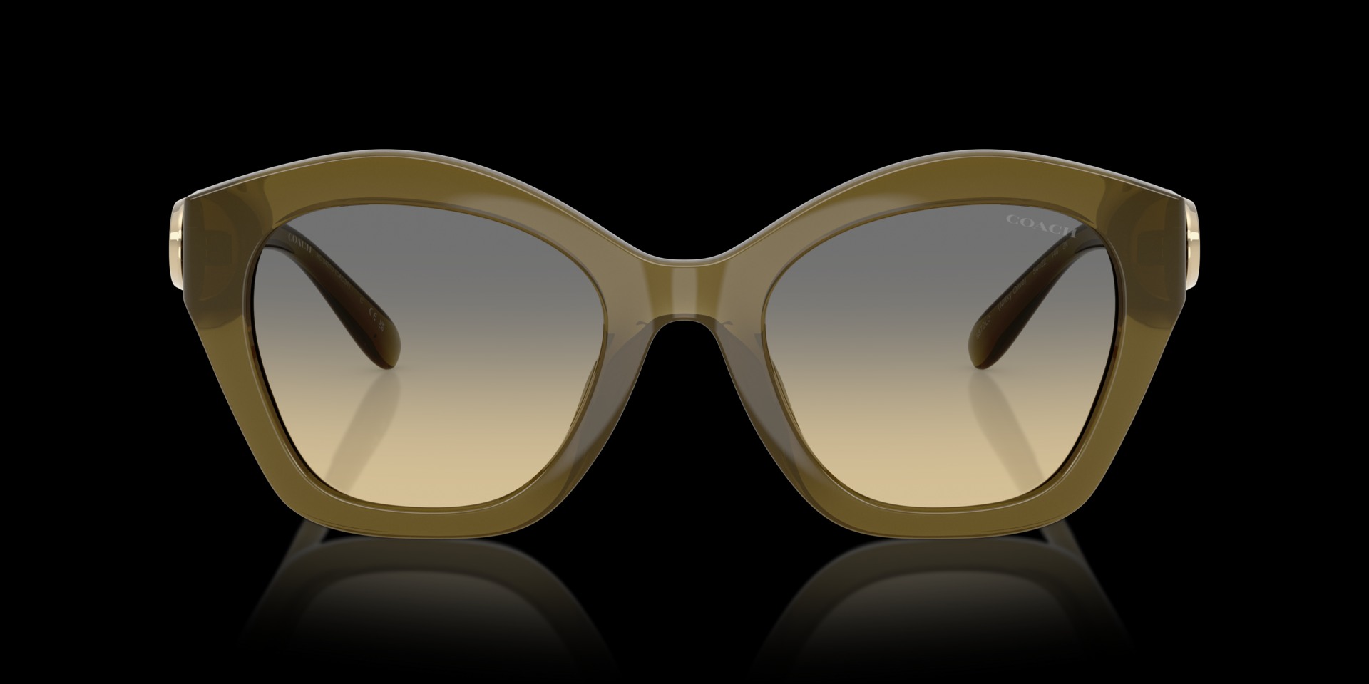 Coach Green Injected Women Sunglass