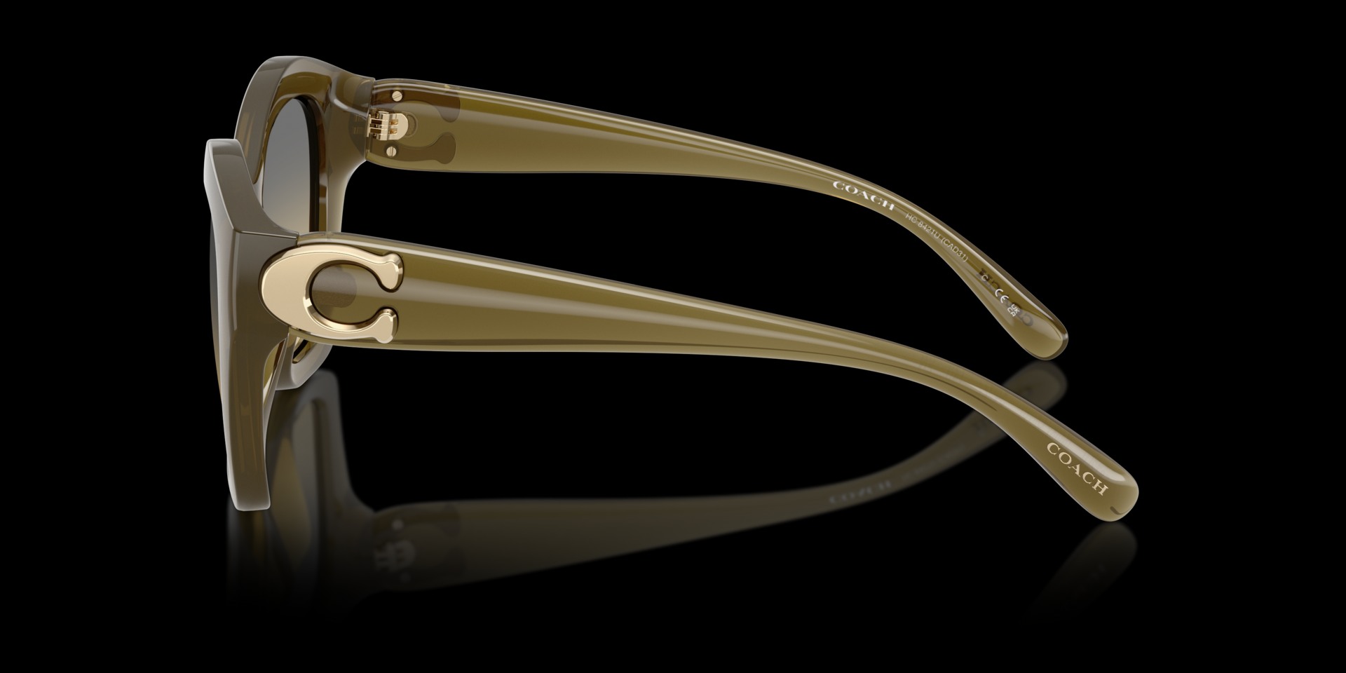 Coach Green Injected Women Sunglass