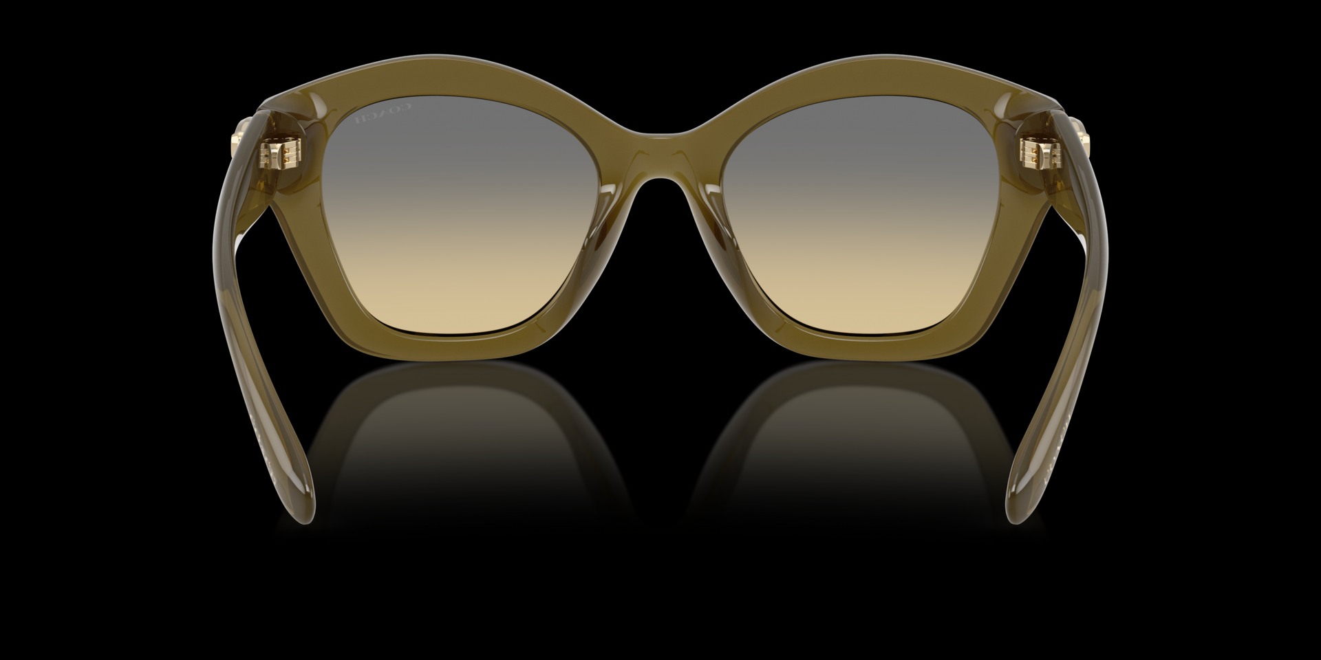 Coach Green Injected Women Sunglass