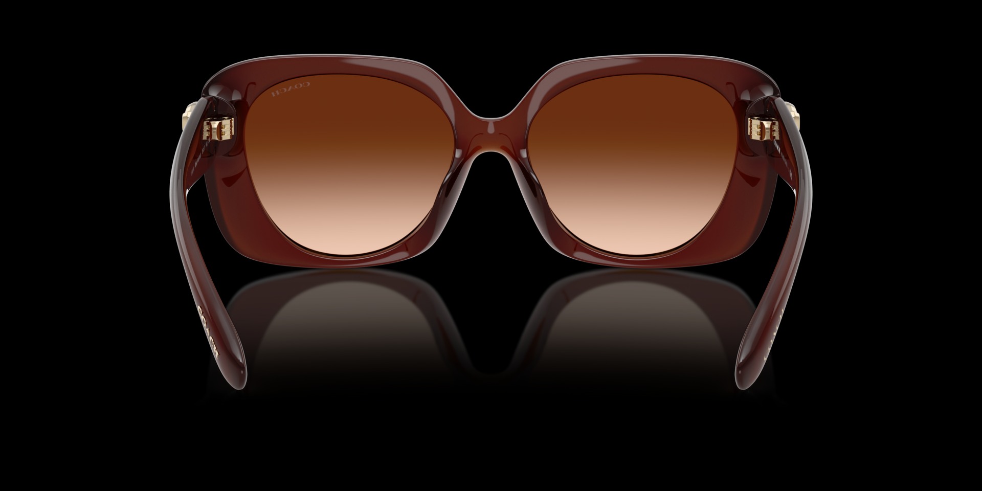 Coach Brown Injected Women Sunglass