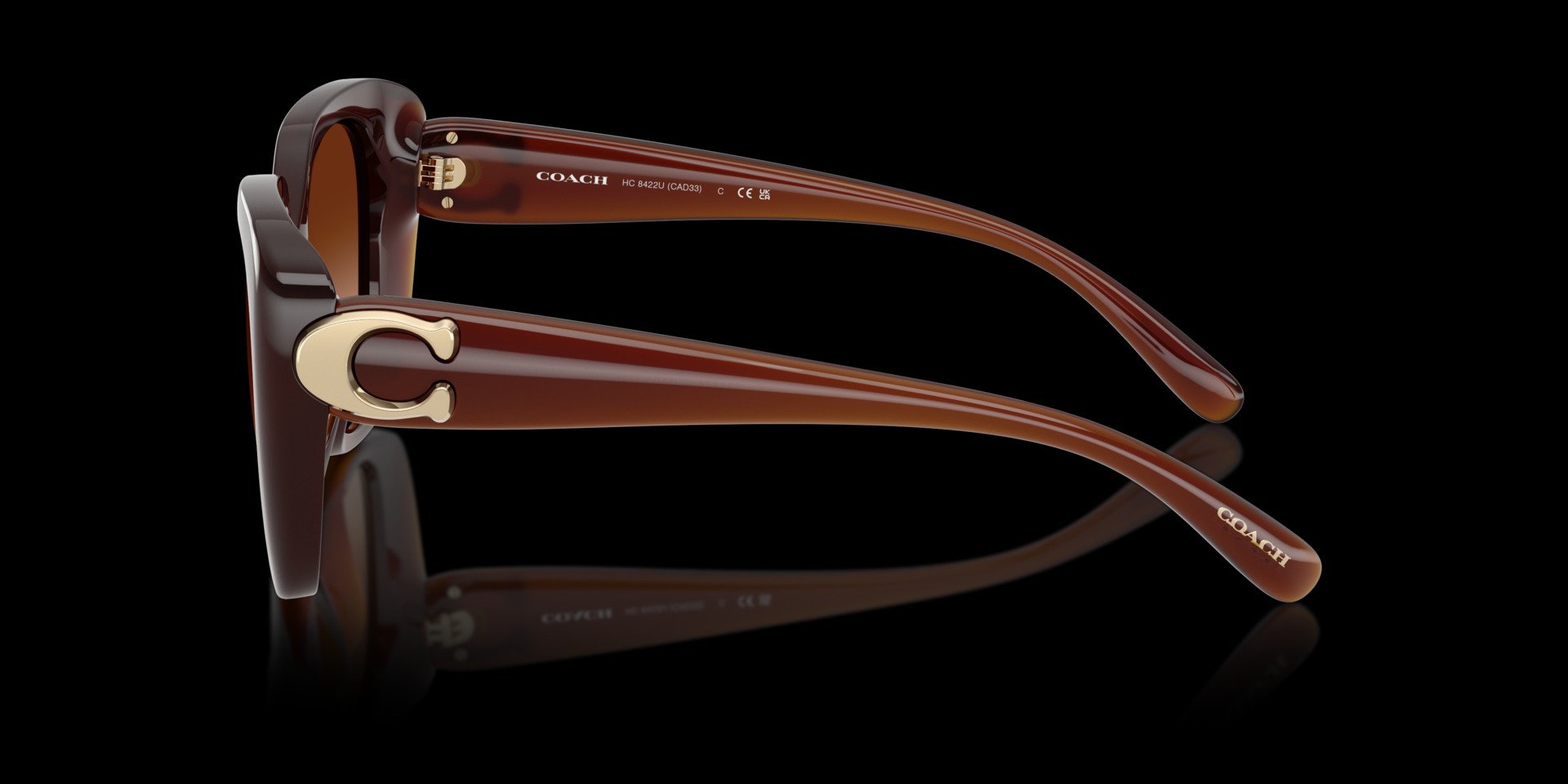 Coach Brown Injected Women Sunglass