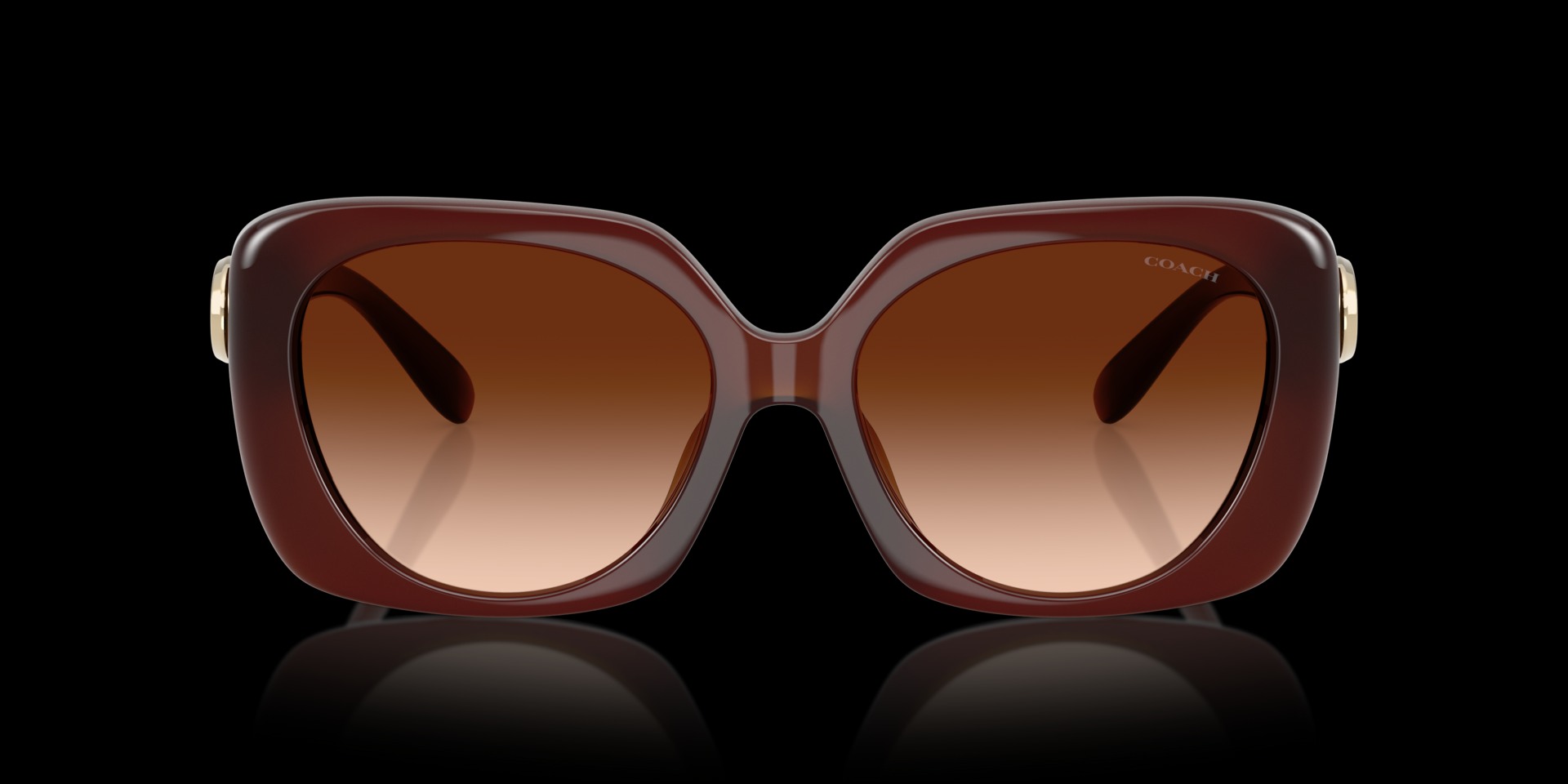 Coach Brown Injected Women Sunglass