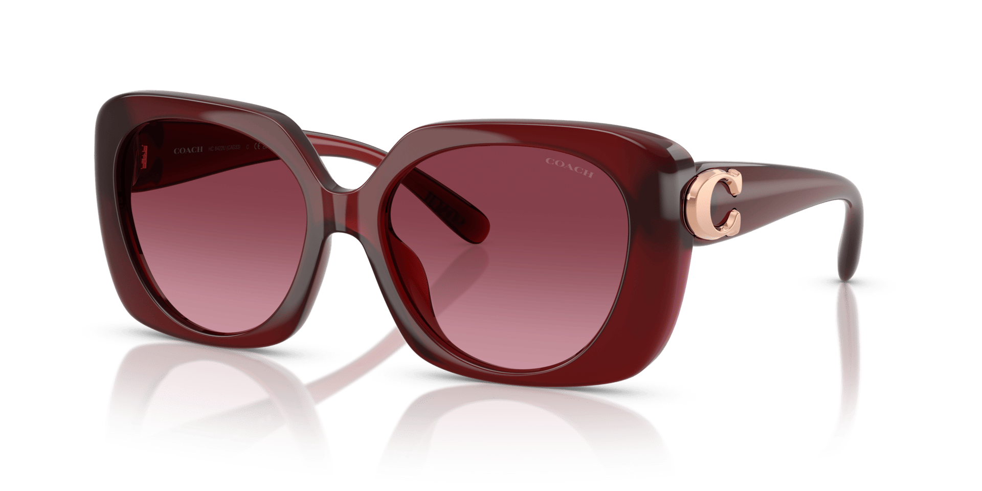 0HC8422U Injected Women Sunglasses