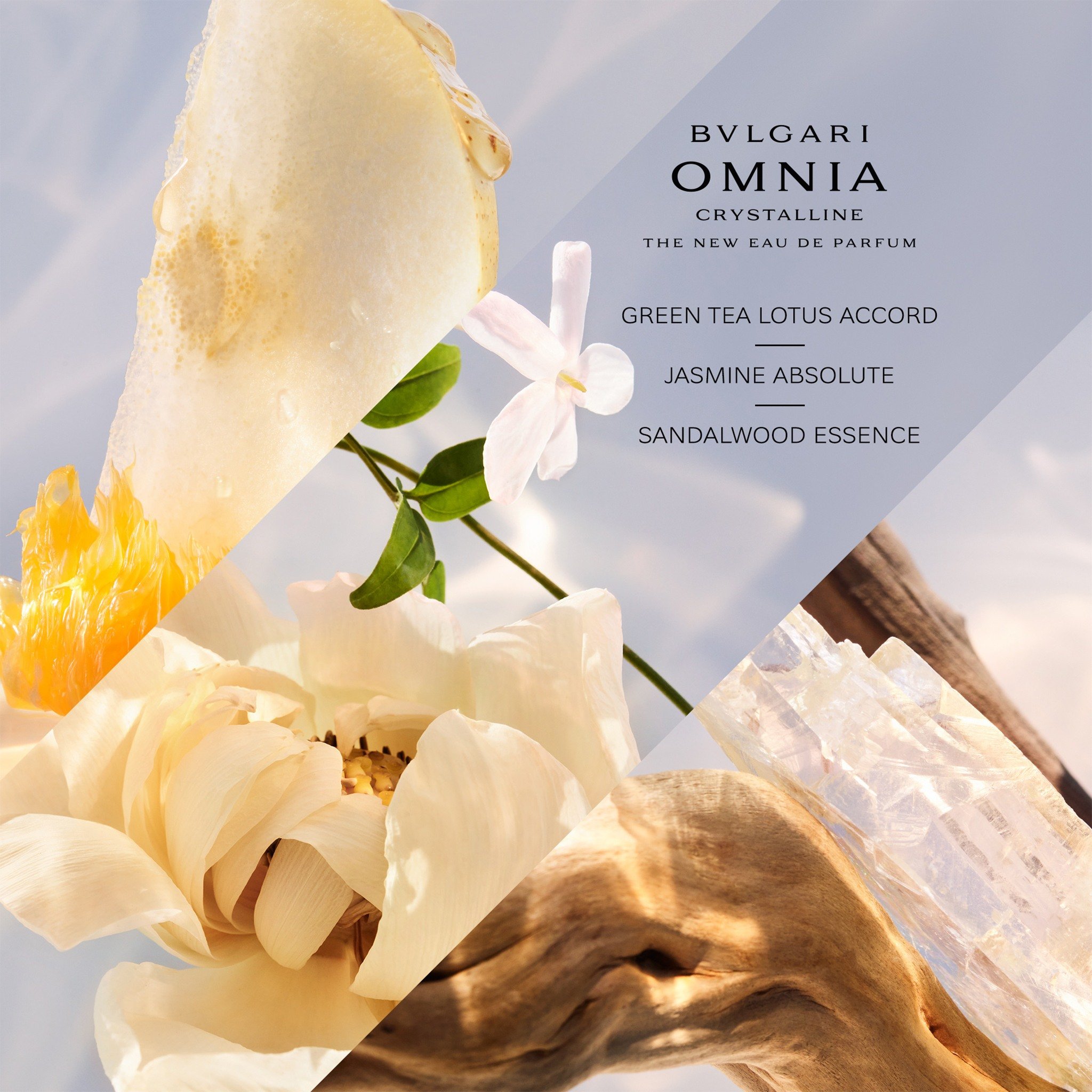 Omnia Crystalline Eau de Parfum • 100ml