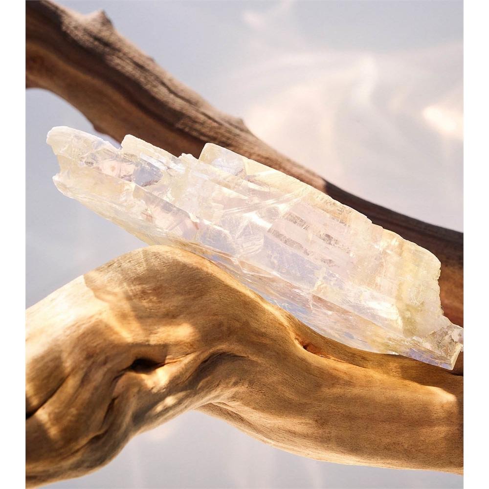 Omnia Crystalline Eau de Parfum • 100ml
