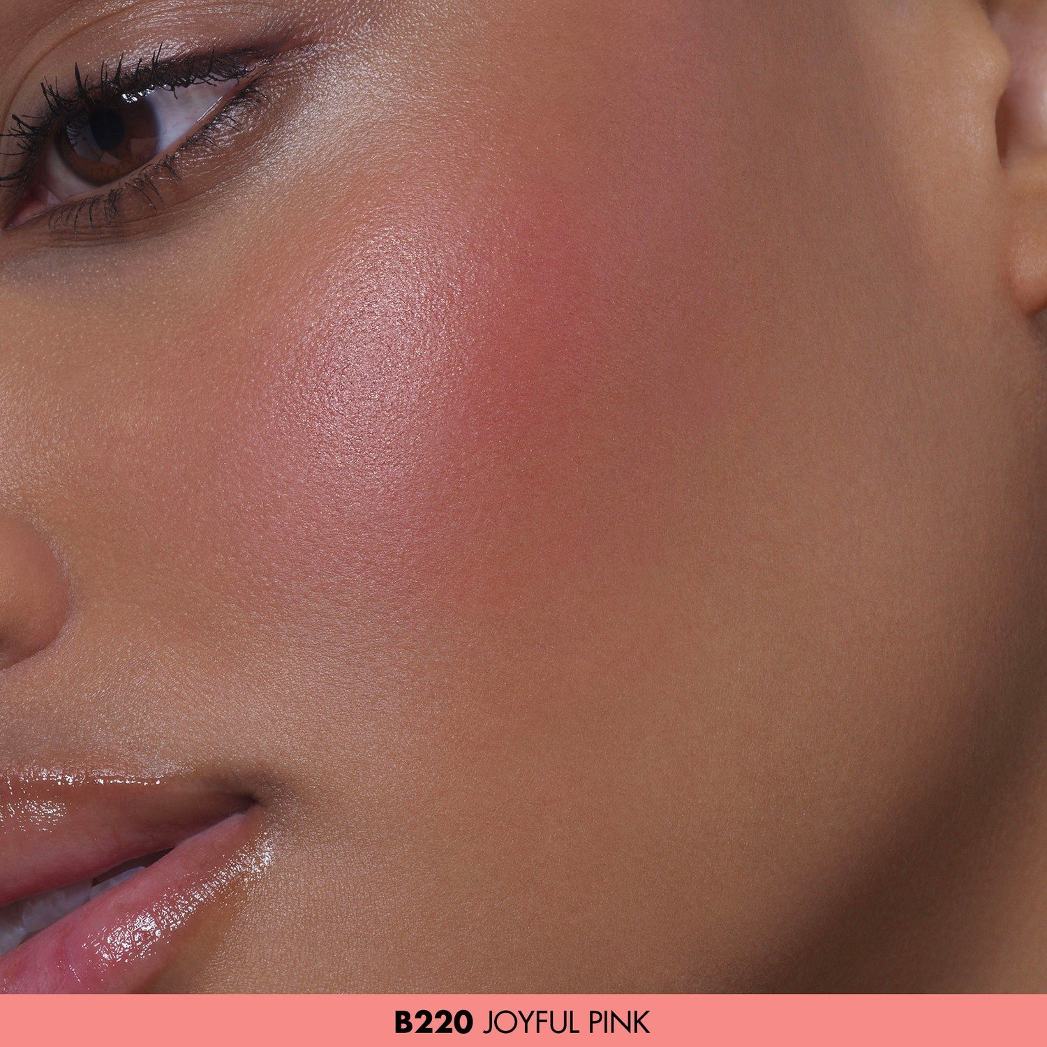 Artist Face Powder Blush • B220 Joyful Pink