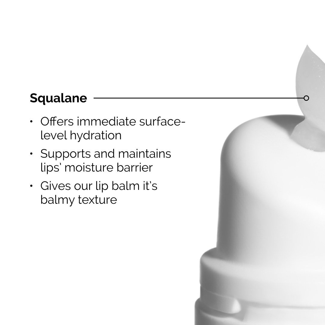 Squalane + Amino Acids Lip Balm • 15ml