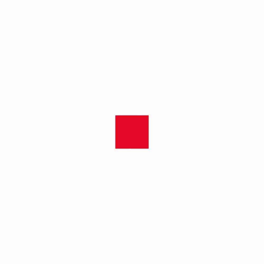 Rouge Pur Couture • R12 Rouge Feminin