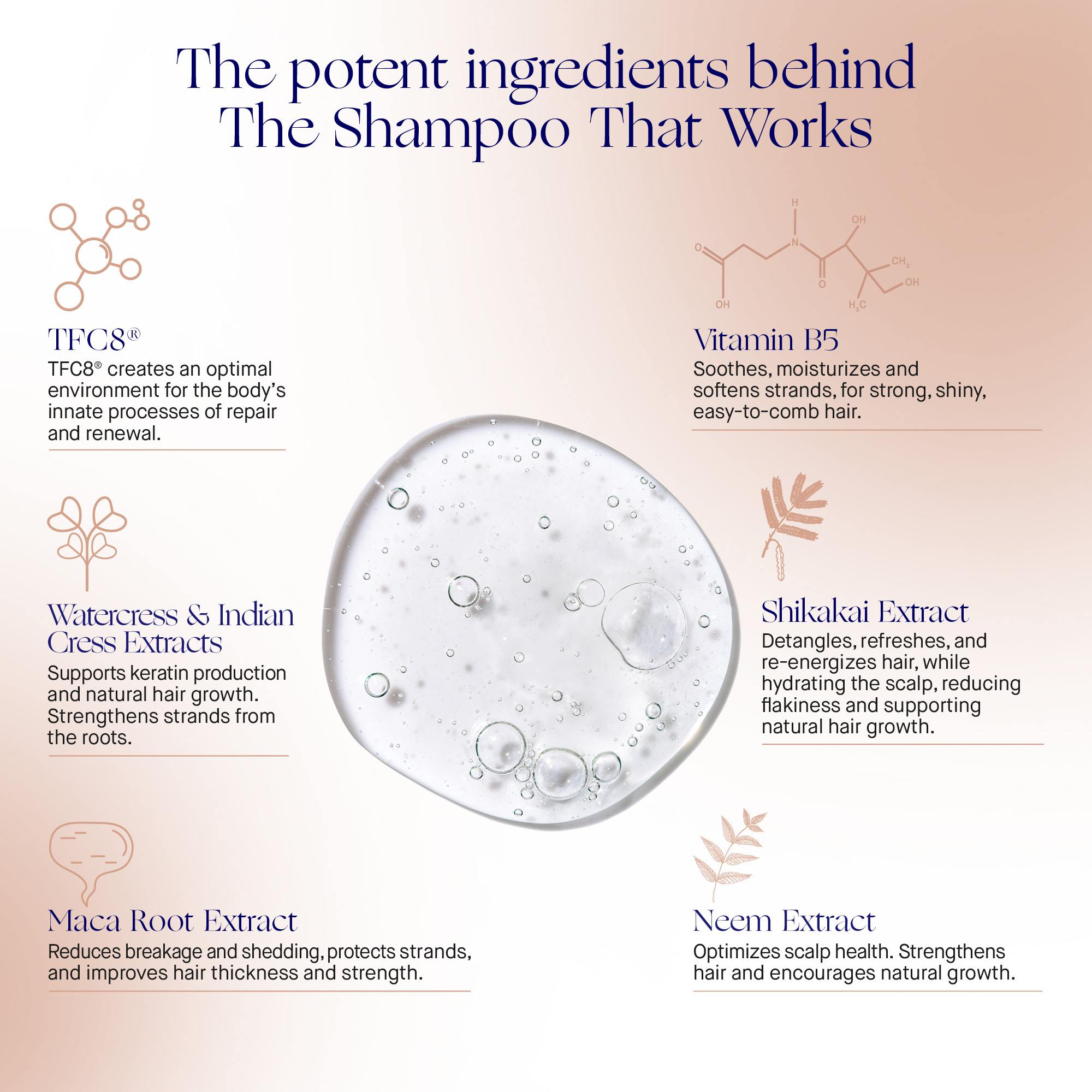 The Shampoo • 200ml