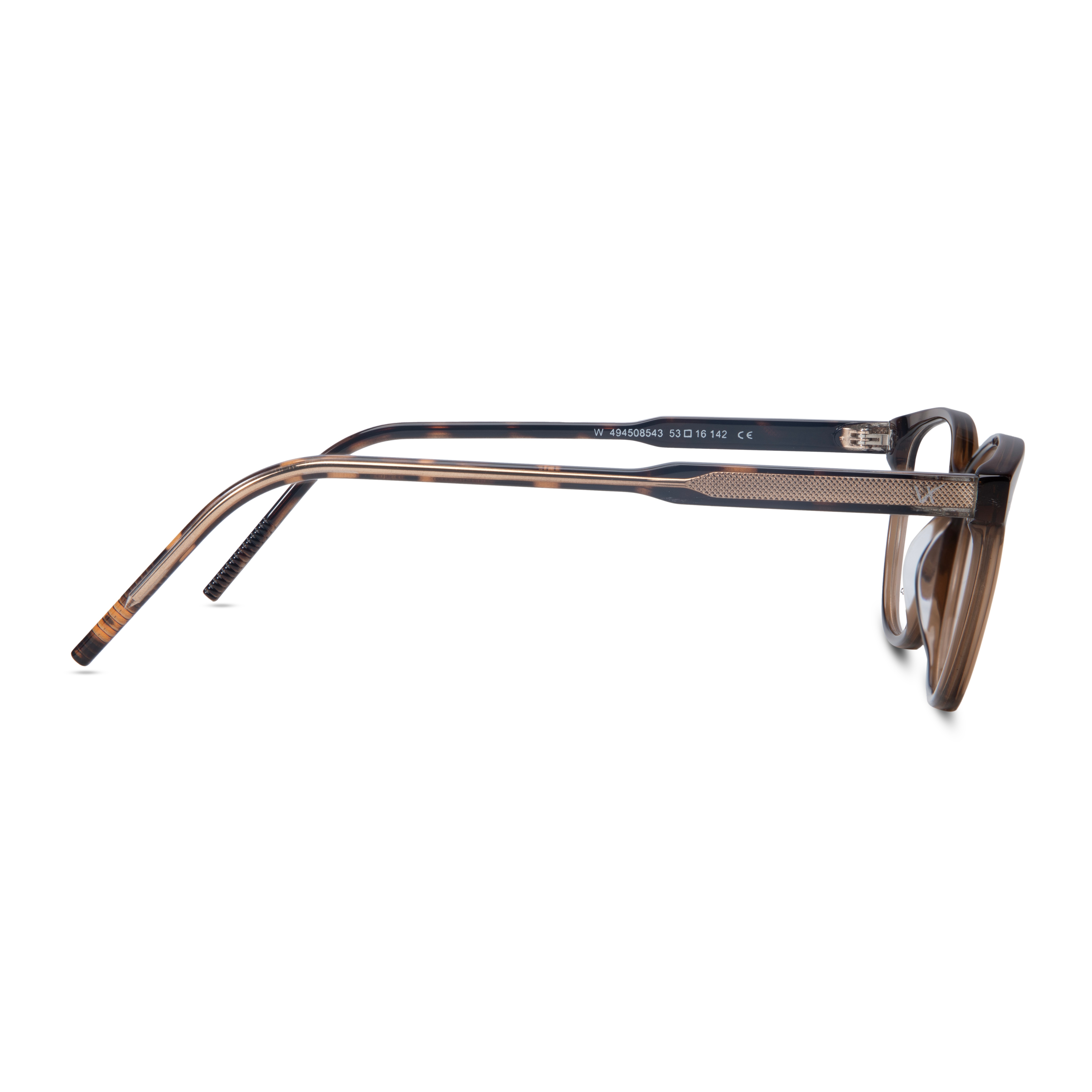 Brown Cat Eye Frame for Women +VIBE