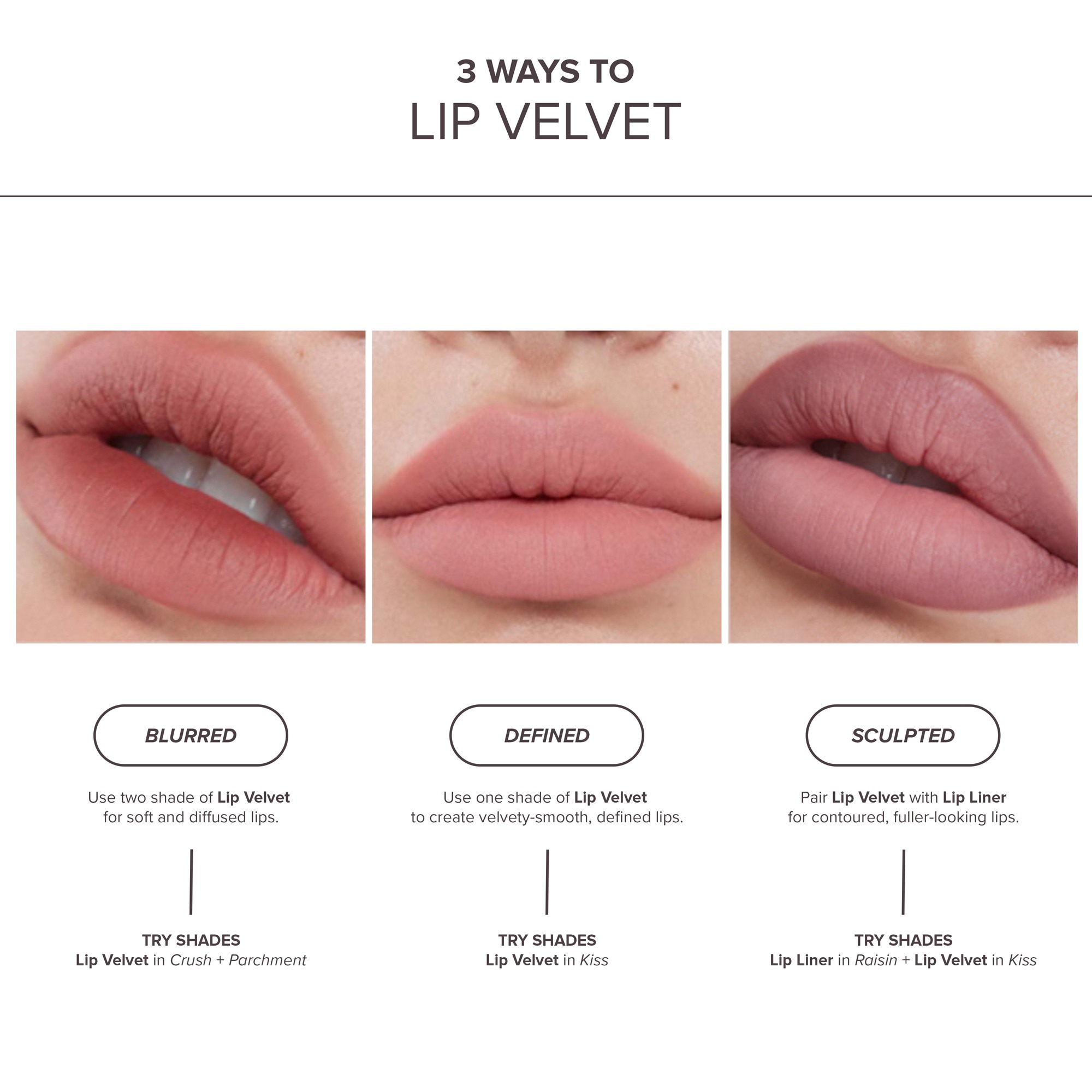 Lip Velvet • Rose