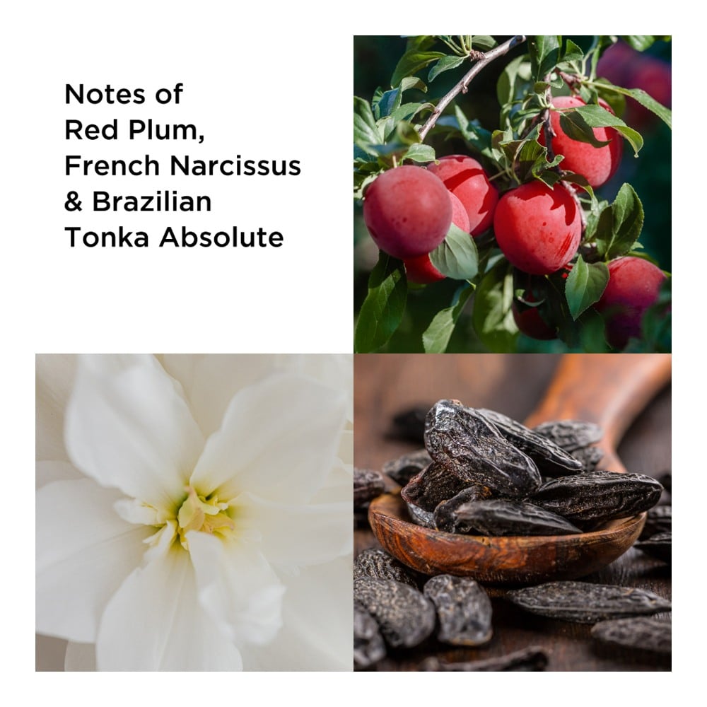 Untold Absolu Eau De Parfum • 100ml