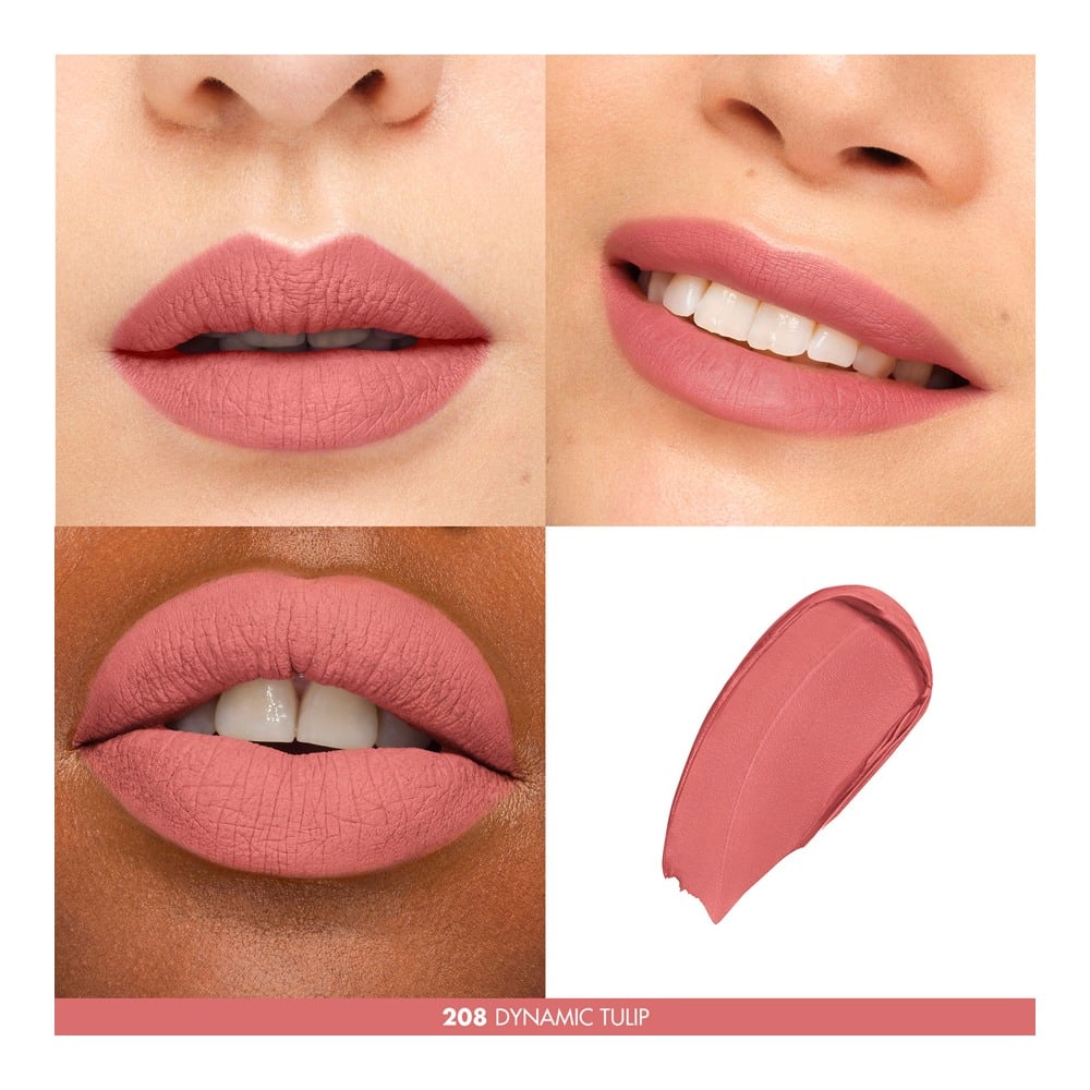 Rouge Artist For Ever Stick Matte • 208 Dynamic Punch