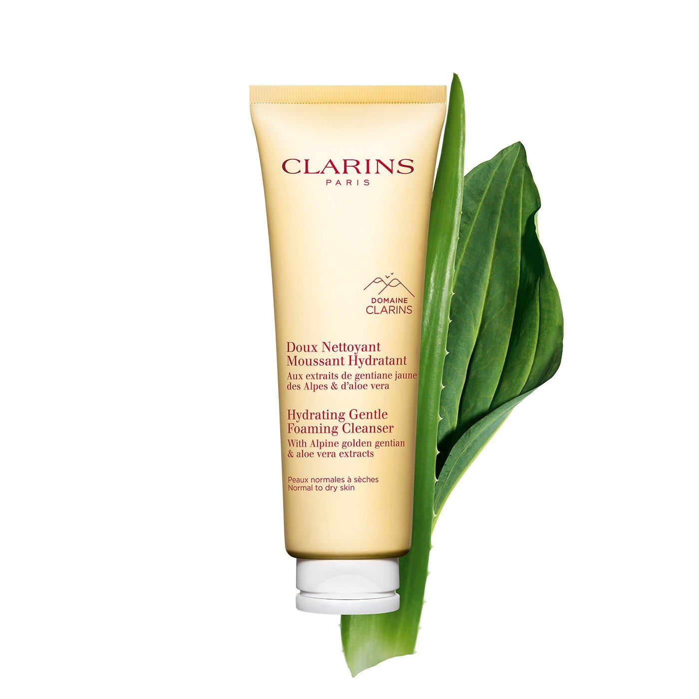 Gentle Foaming Cleanser Hydrating • 127g