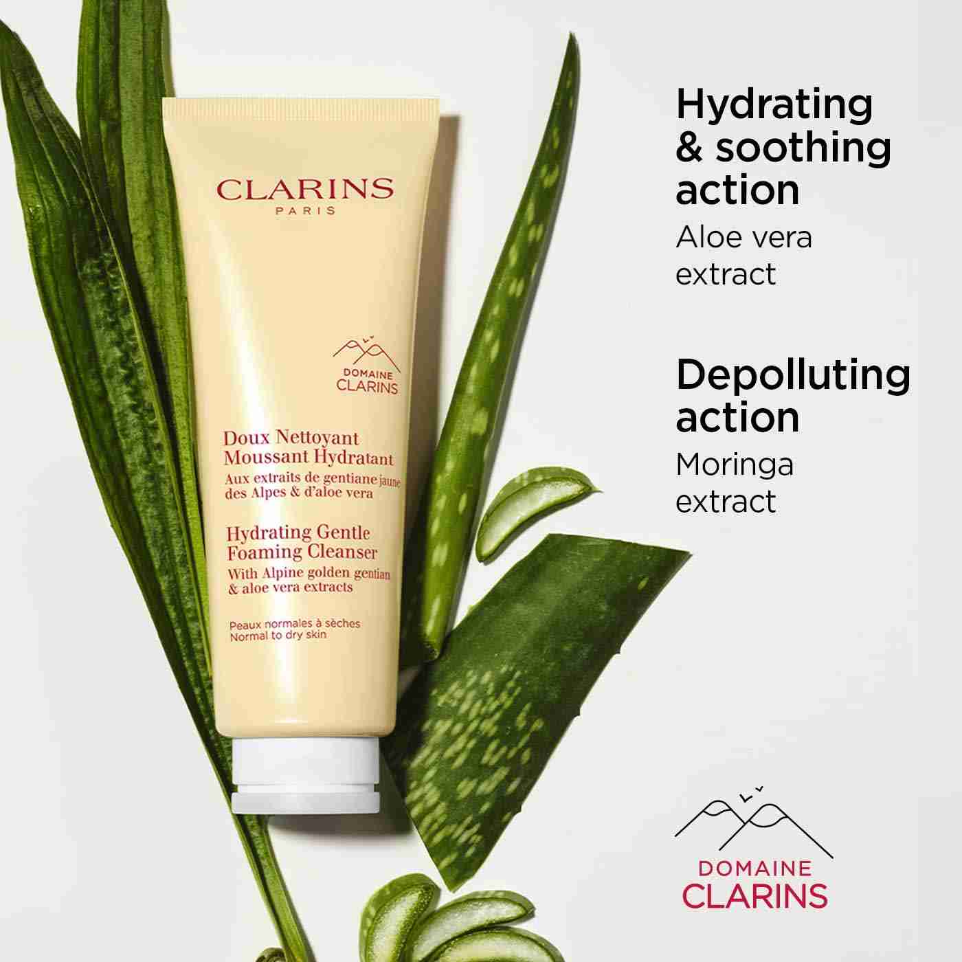 Gentle Foaming Cleanser Hydrating • 127g