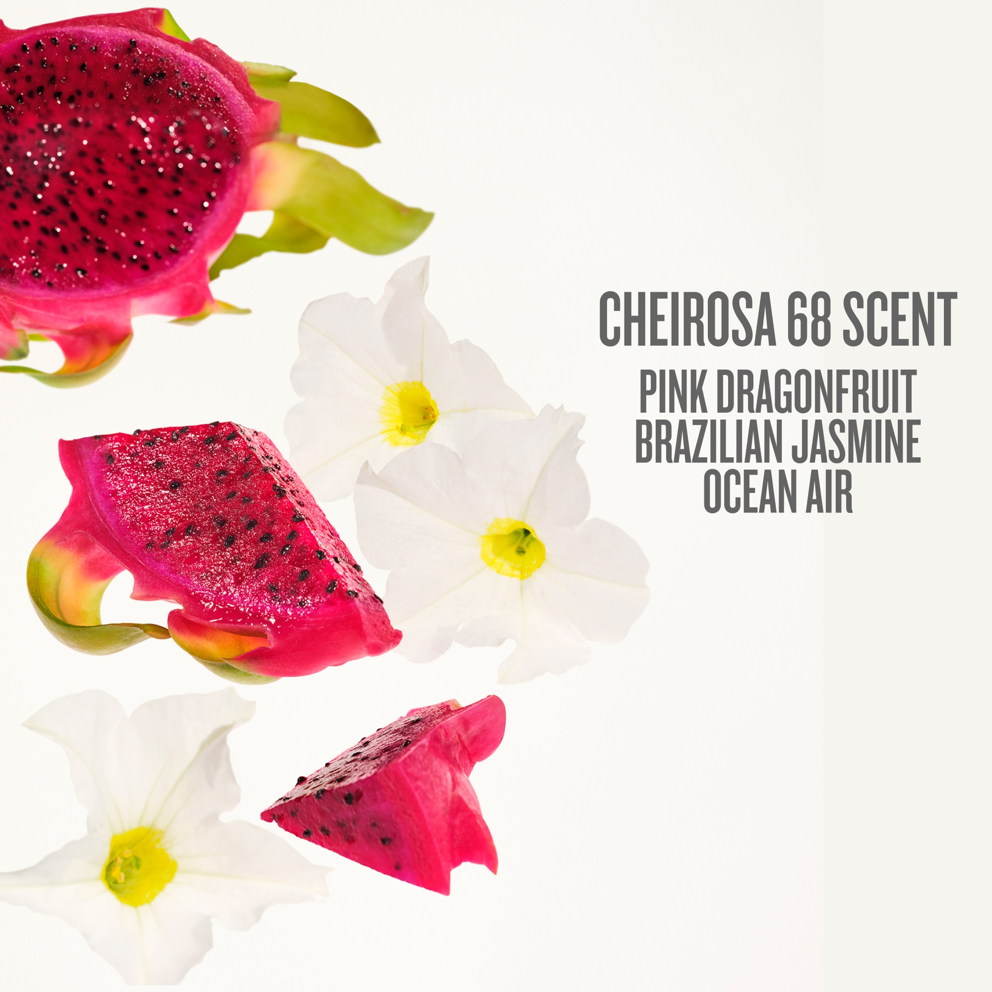 Beija Flor™ Elasti-Body Oil • 100ml