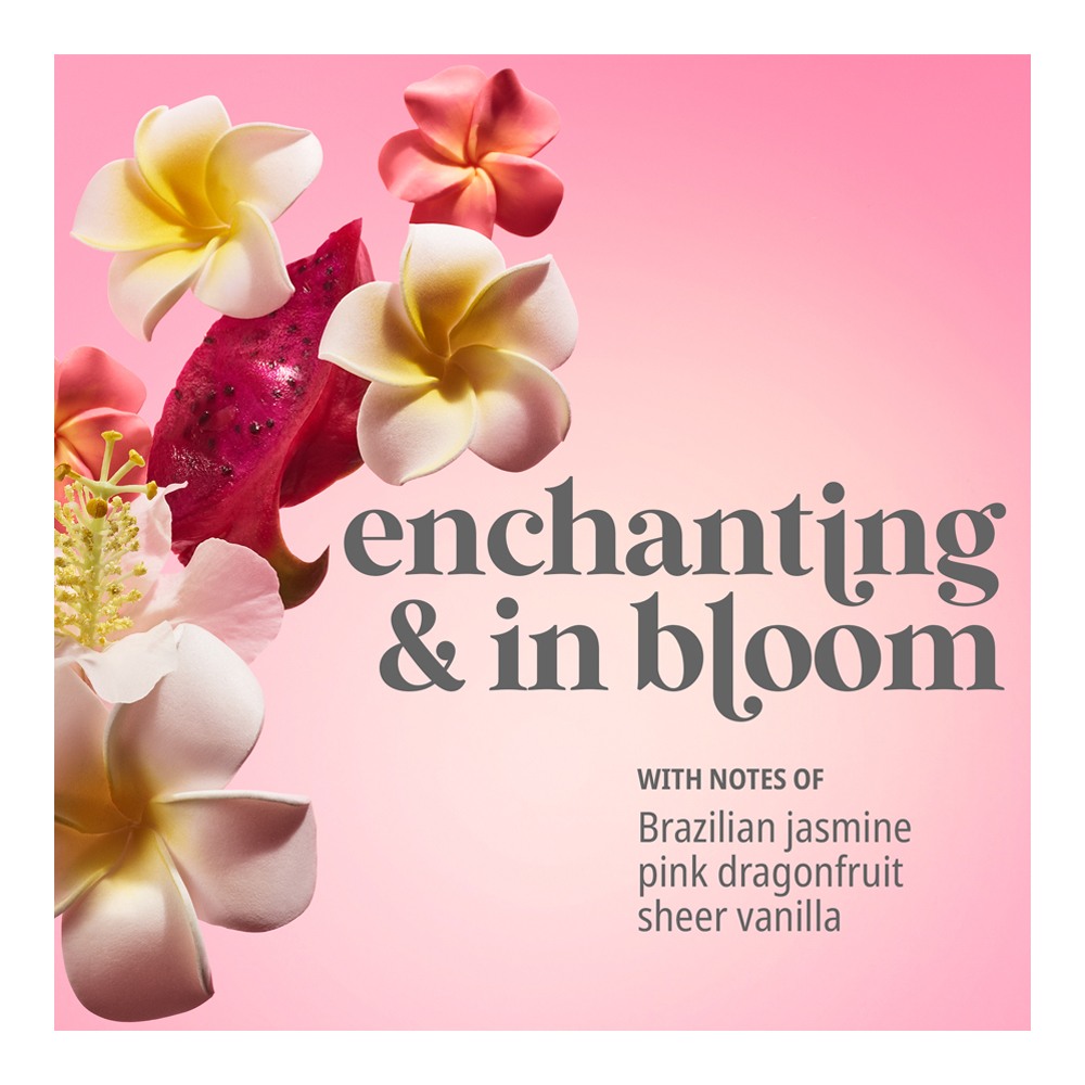 Beija Flor™ Elasti-Body Oil • 100ml