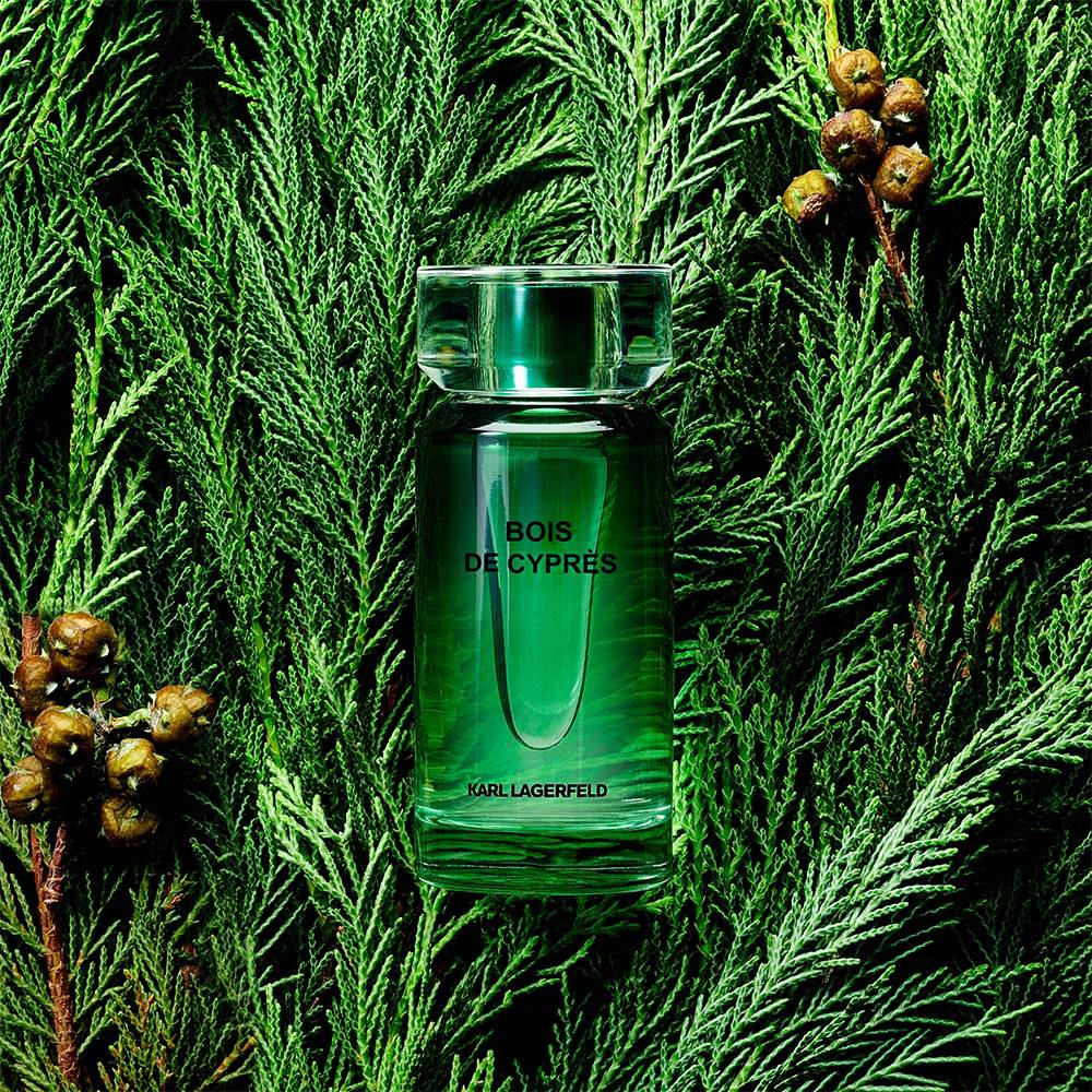 Parfums Matieres Bois De Cyprès Eau De Toilette • 50ml