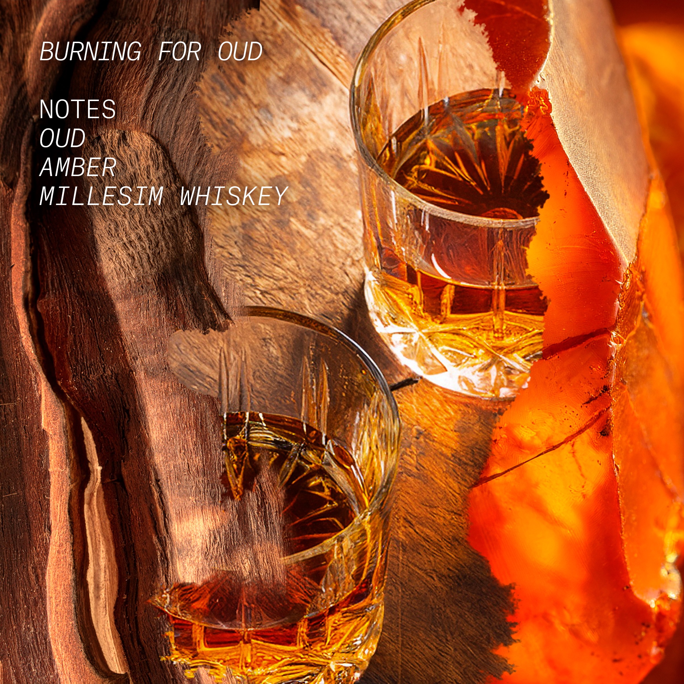 Burning For Oud Eau De Parfum • 15ml