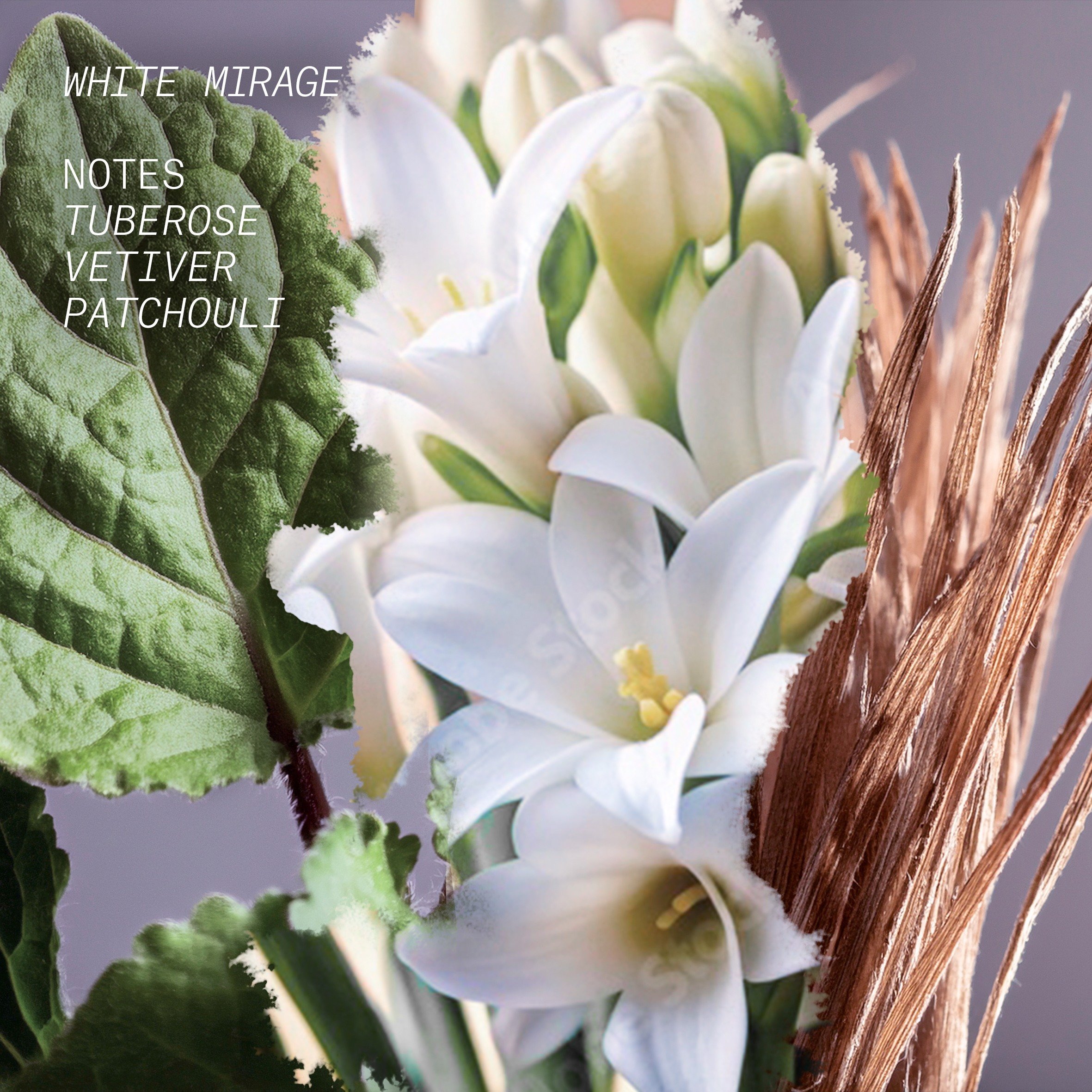 White Mirage Eau De Parfum • 100ml