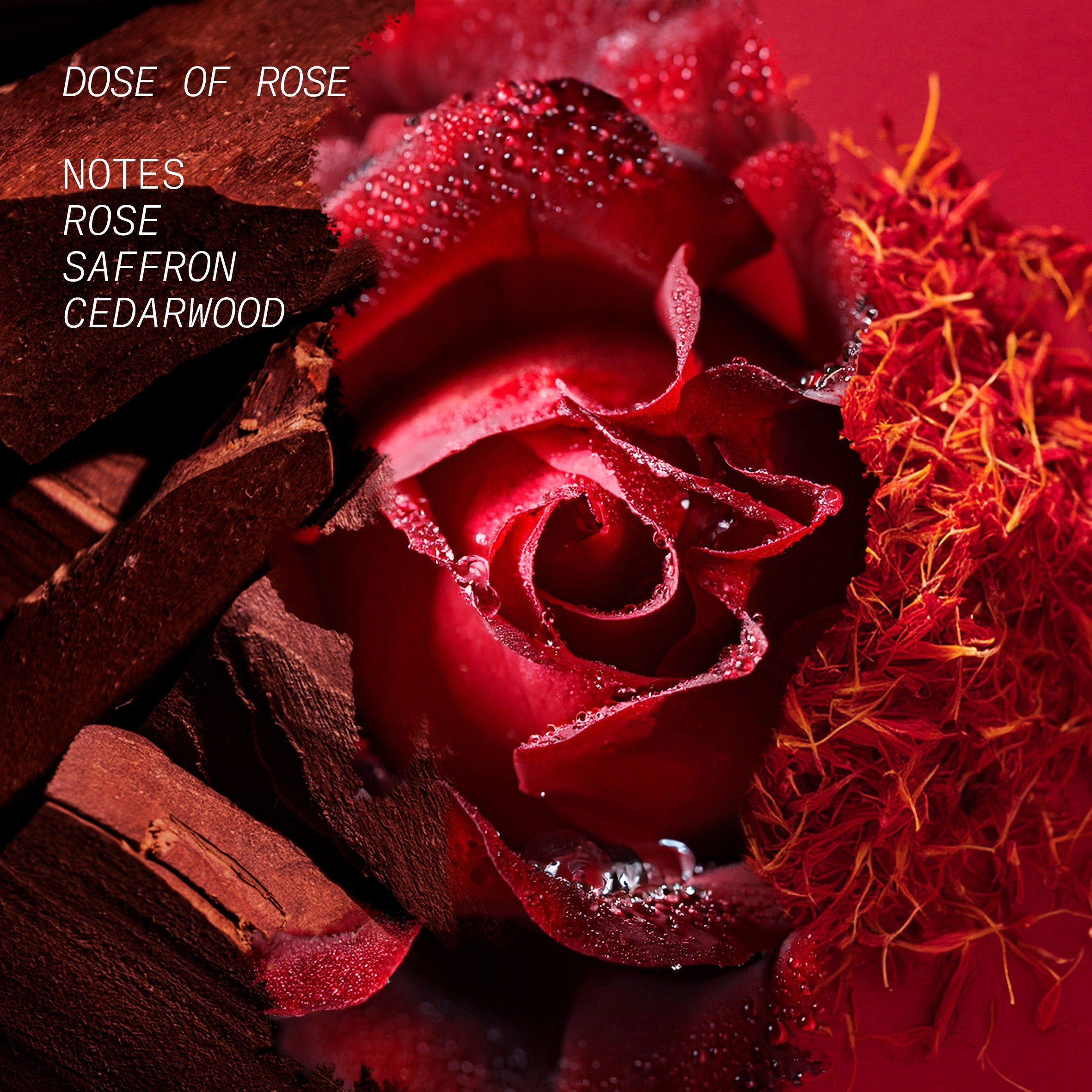 Dose Of Rose Eau De Parfum • 100ml