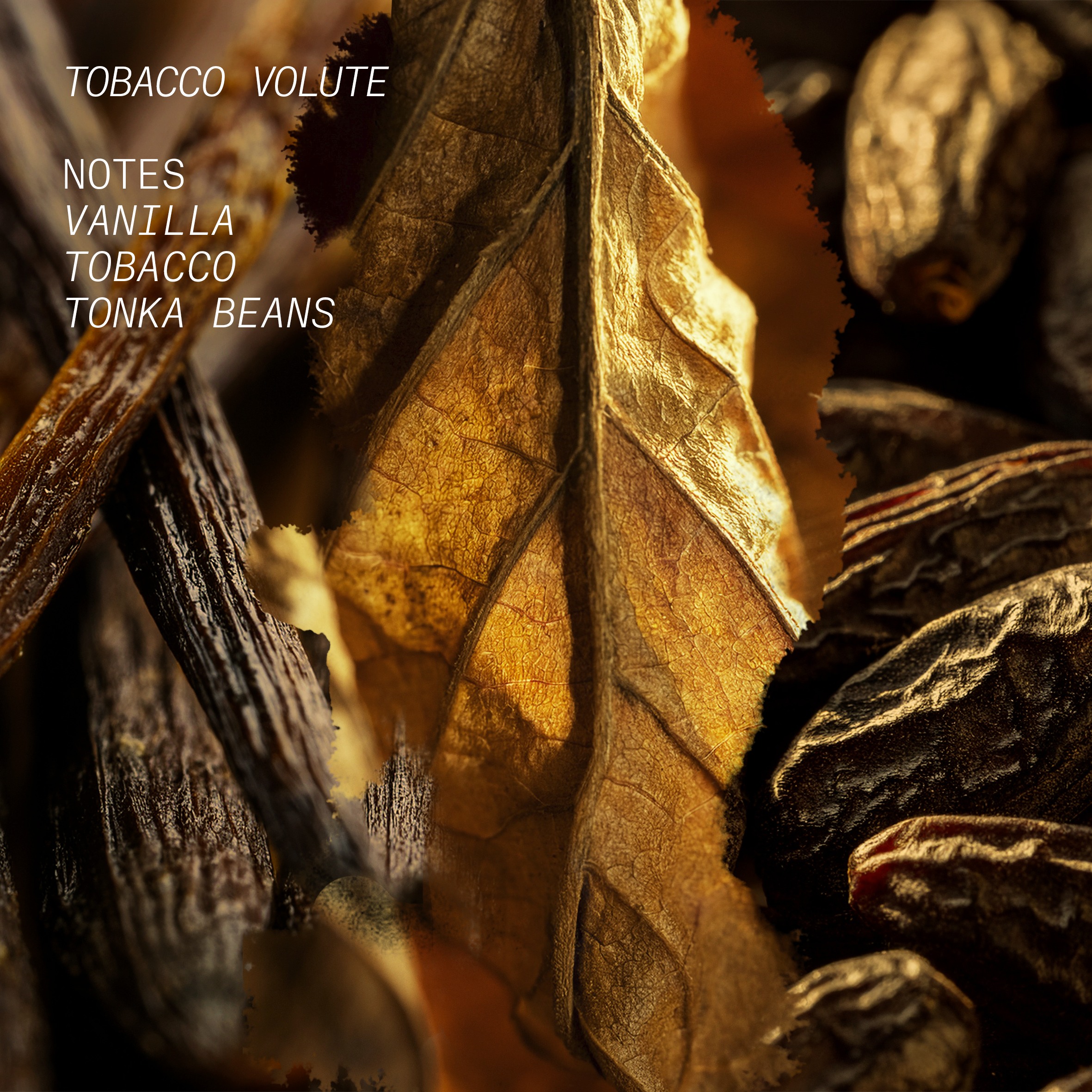 Tobacco Volute Eau De Parfum • 15ml