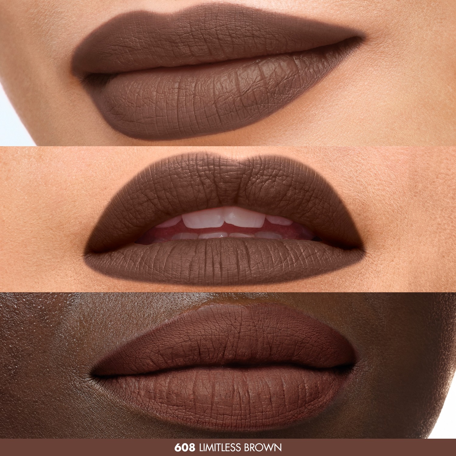 Artist Color Pencil • 608 Limitless Brown