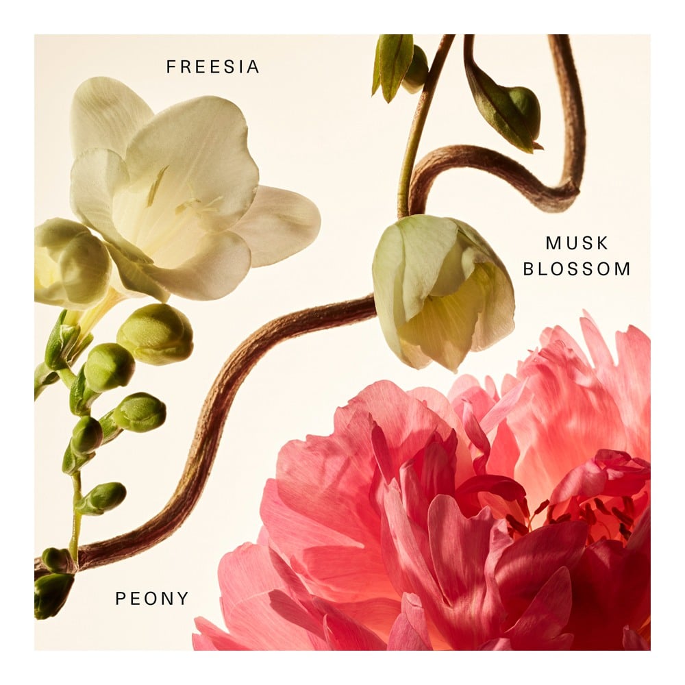 Floral Peony Blossom Rare Fragrance Layering Balm • 20ml