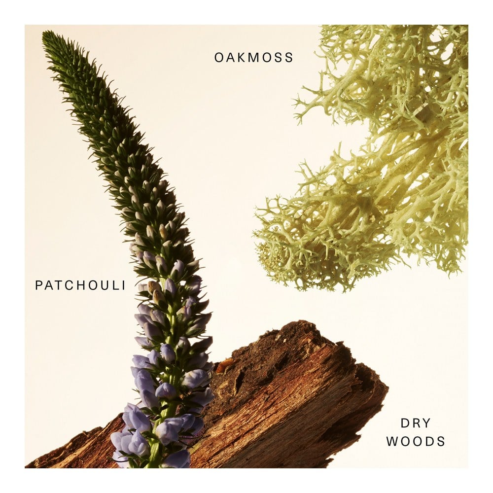 Woody Oak Rare Fragrance Layering Balm • 20ml