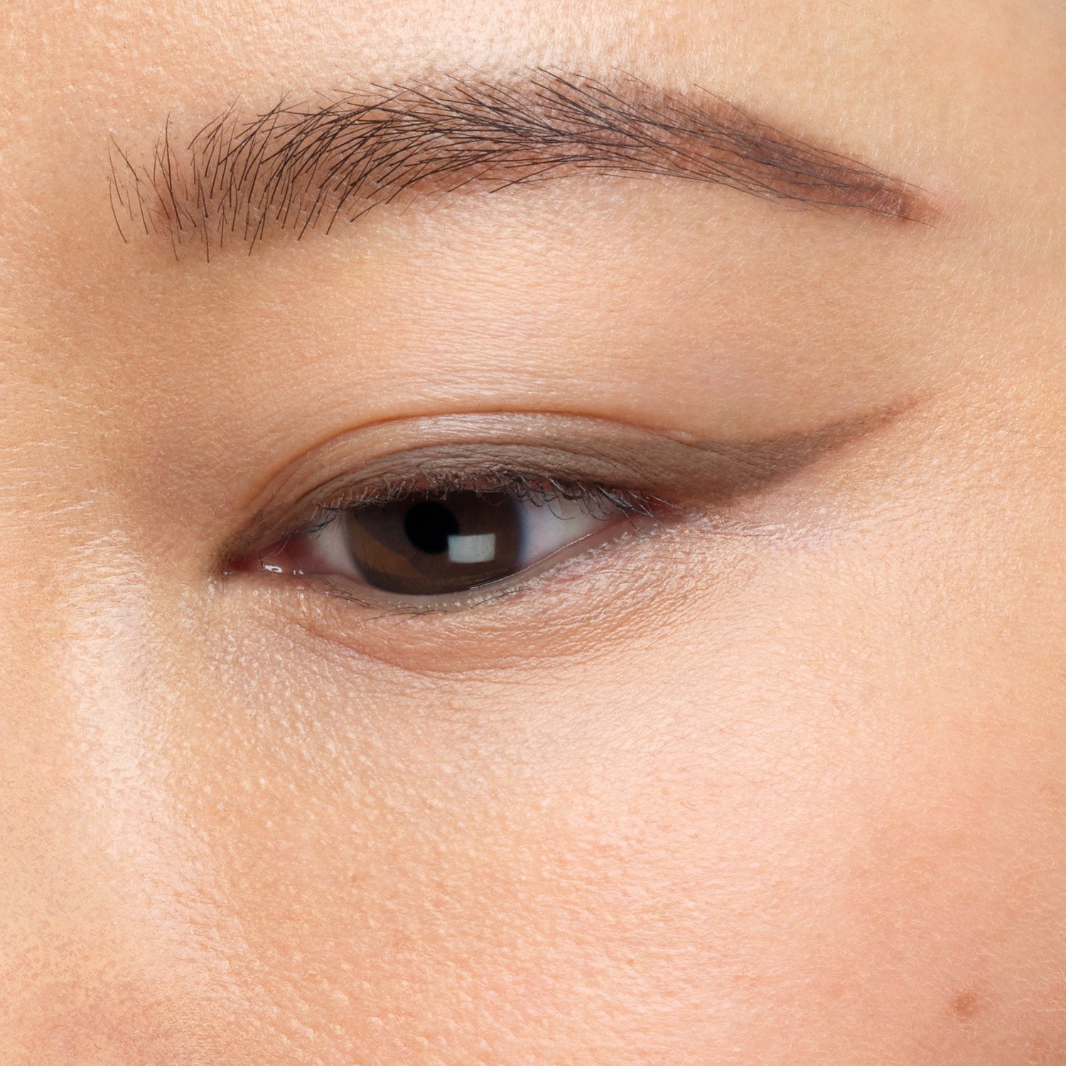 Artist Color Pencil • 506 Endless Cacao