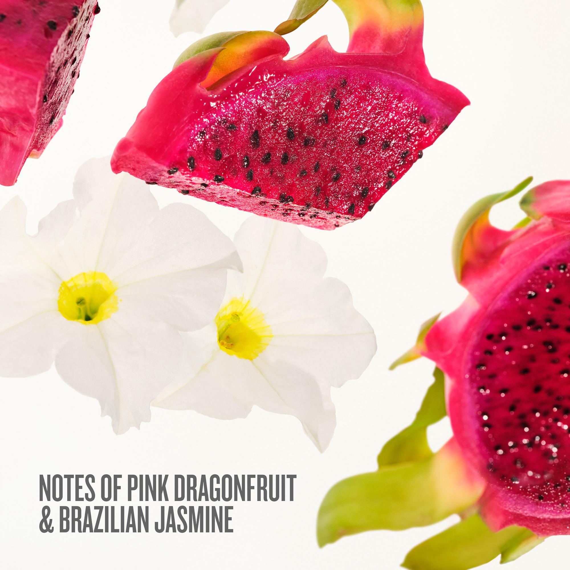 Beija Flor Party Of Two (Holiday Limited Edition)